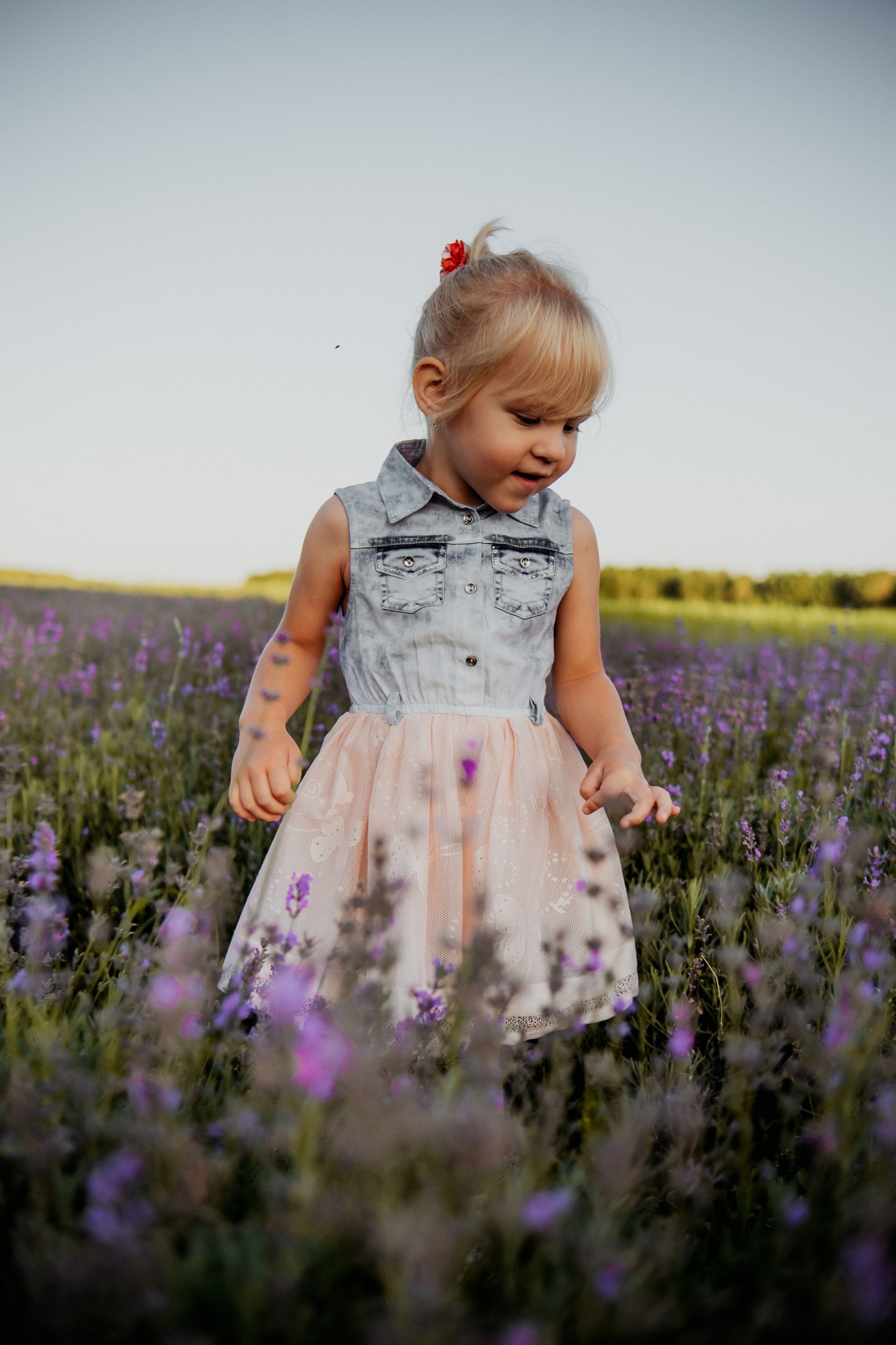 Семейная съемка в лованде. Nattie.ph