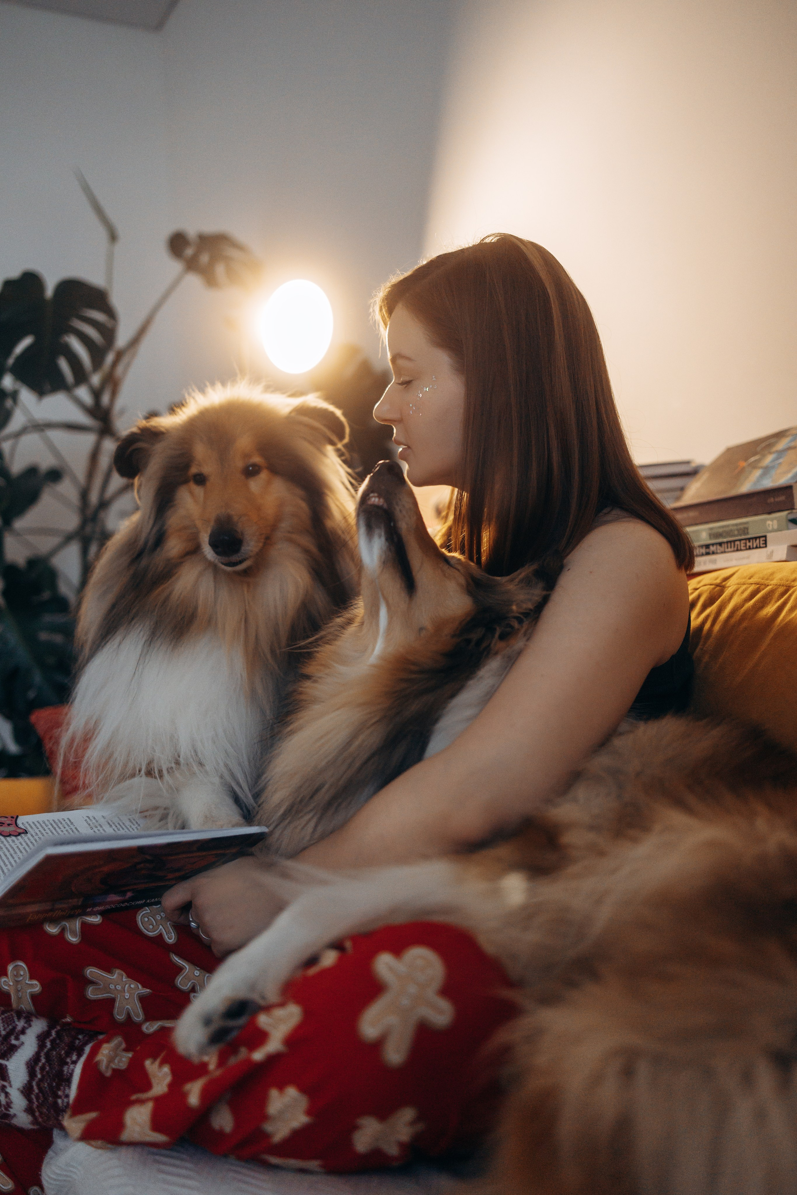 Юлиана, Элли и Райан. YULA KOLESOVA | Фотограф — Анималист | Художник | Тюмень