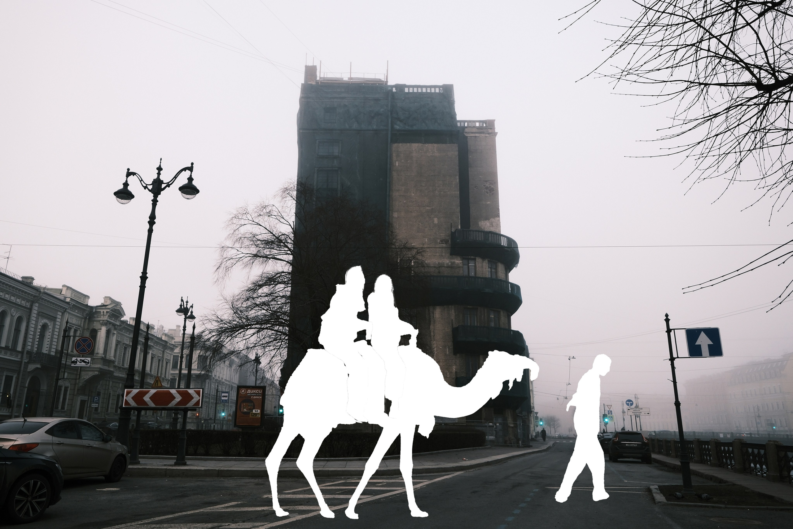 Если тебе отрезать руку, разве тебя станет меньше?. Курочкина Софья