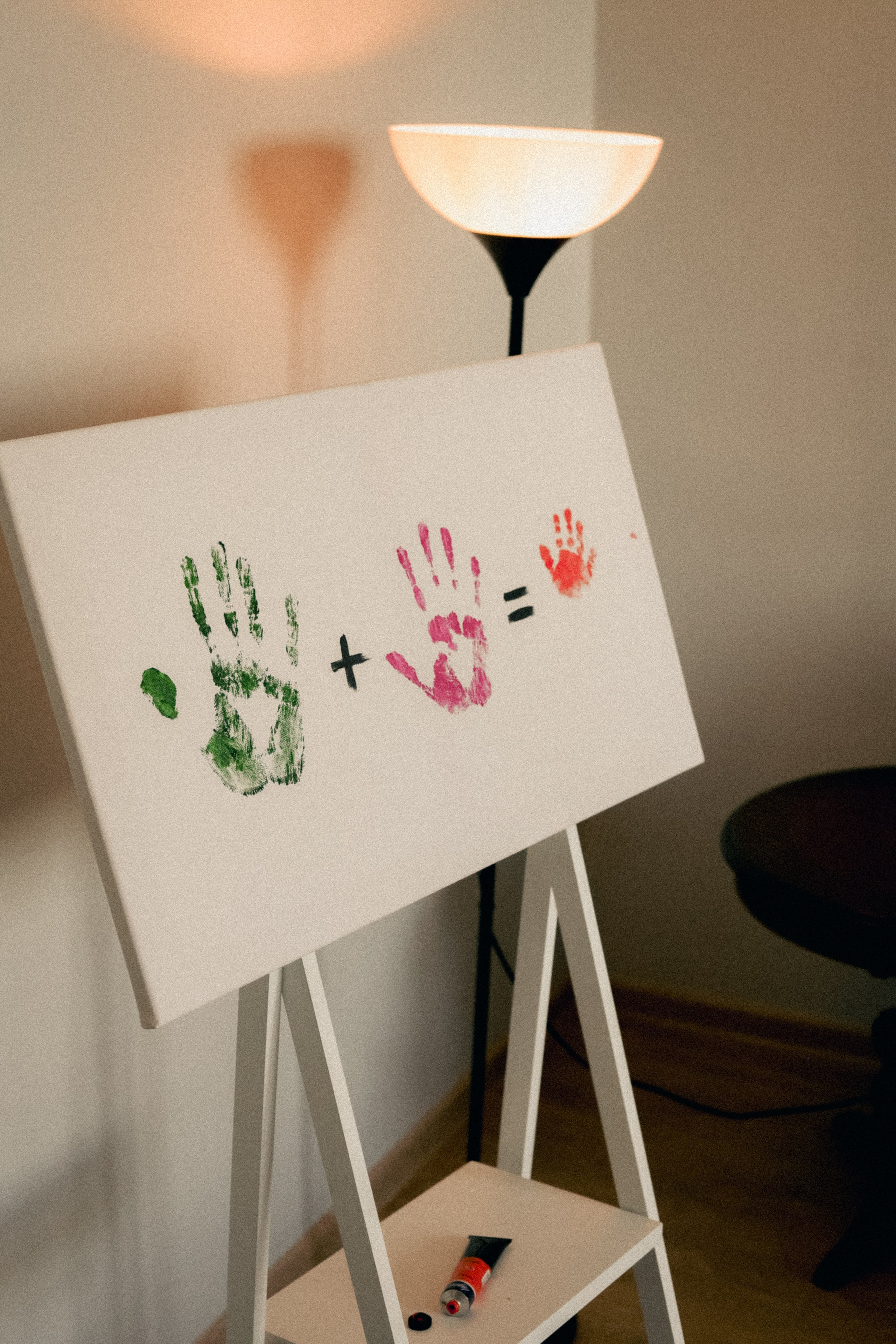 Домашняя история. Meryfotoidea