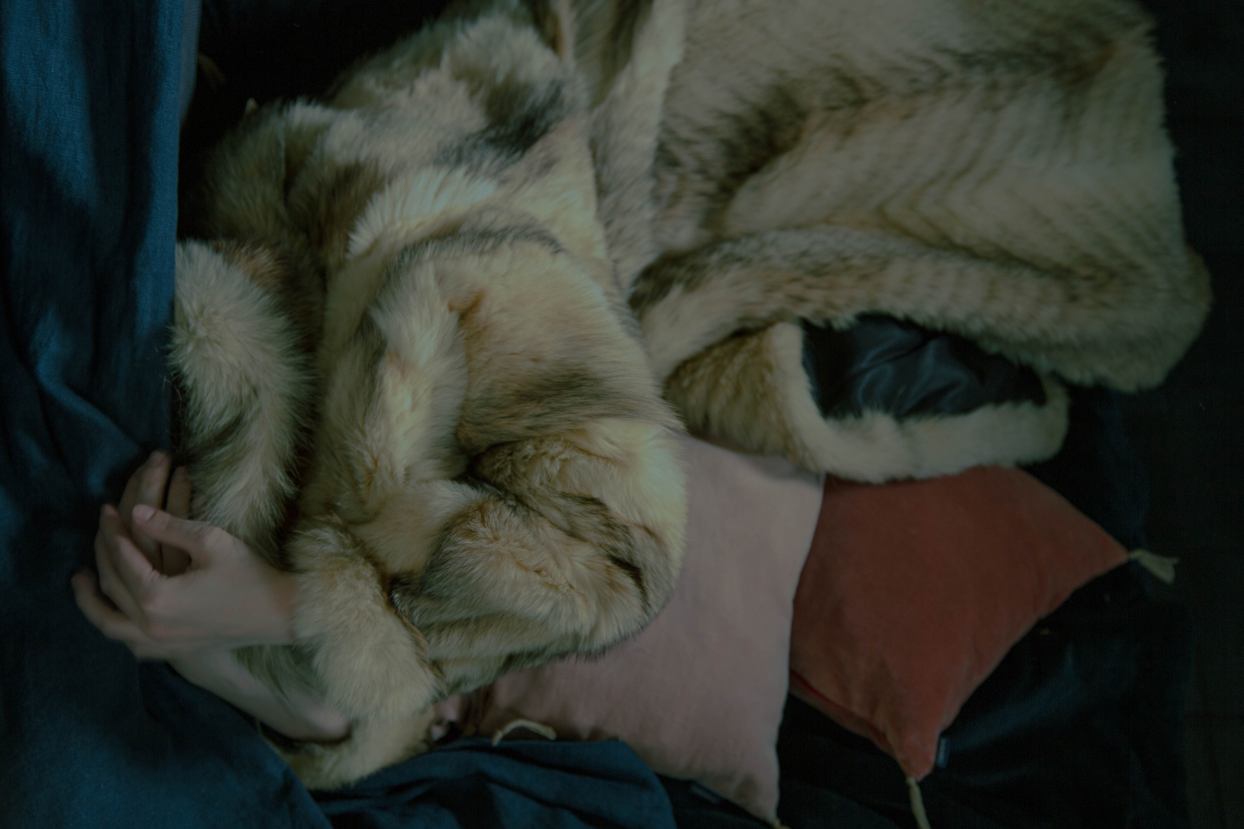 Tatiana. DINA MOREVA photography