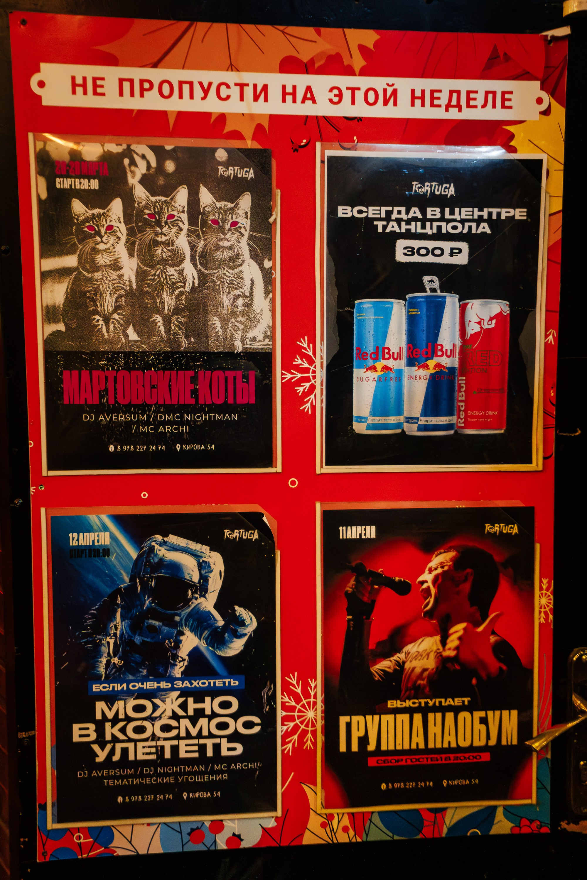 «Мартовские коты"_Tortuga_Симферополь_29.03.2025. Аминов Руслан | Фотограф