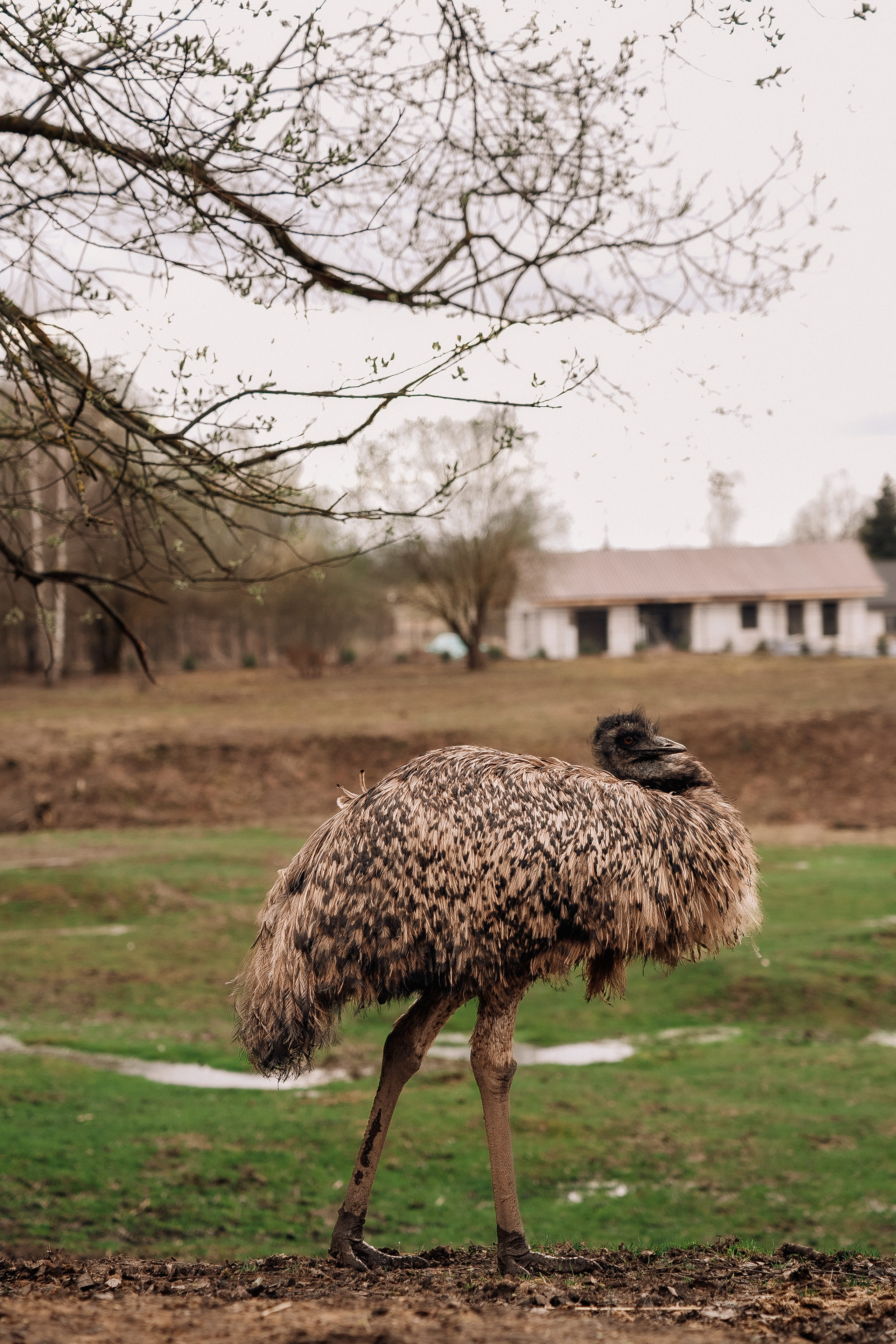 Фотосъемка мероприятия в ранчо Аванпост. Свадебный и семейный фотограф в Москве и МО Геннадий Туманцев