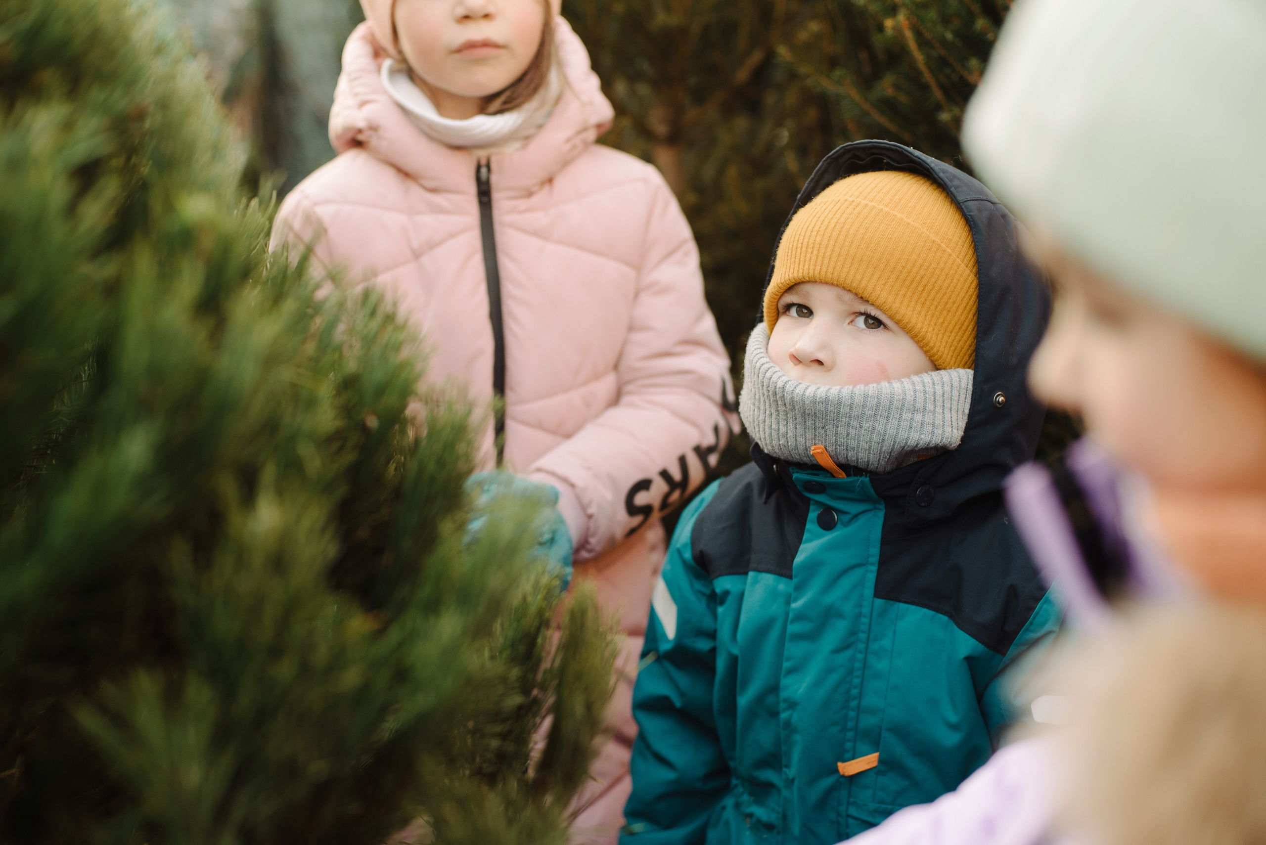 Дина. Предновогоднее. Фотограф Алиса Калинина