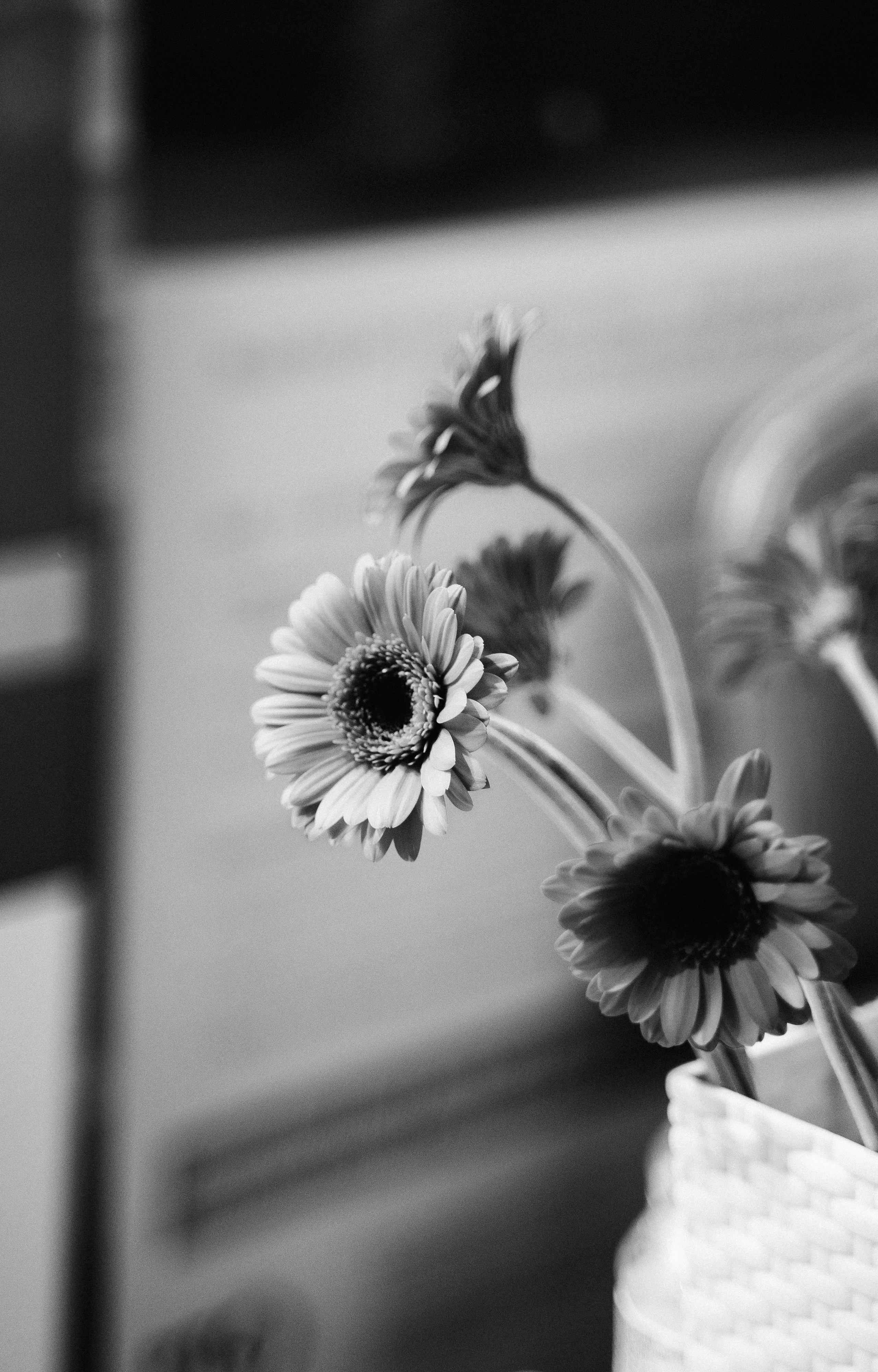 Ратнеровские чтения / 2023. Саша Копылов, фотограф в Казани