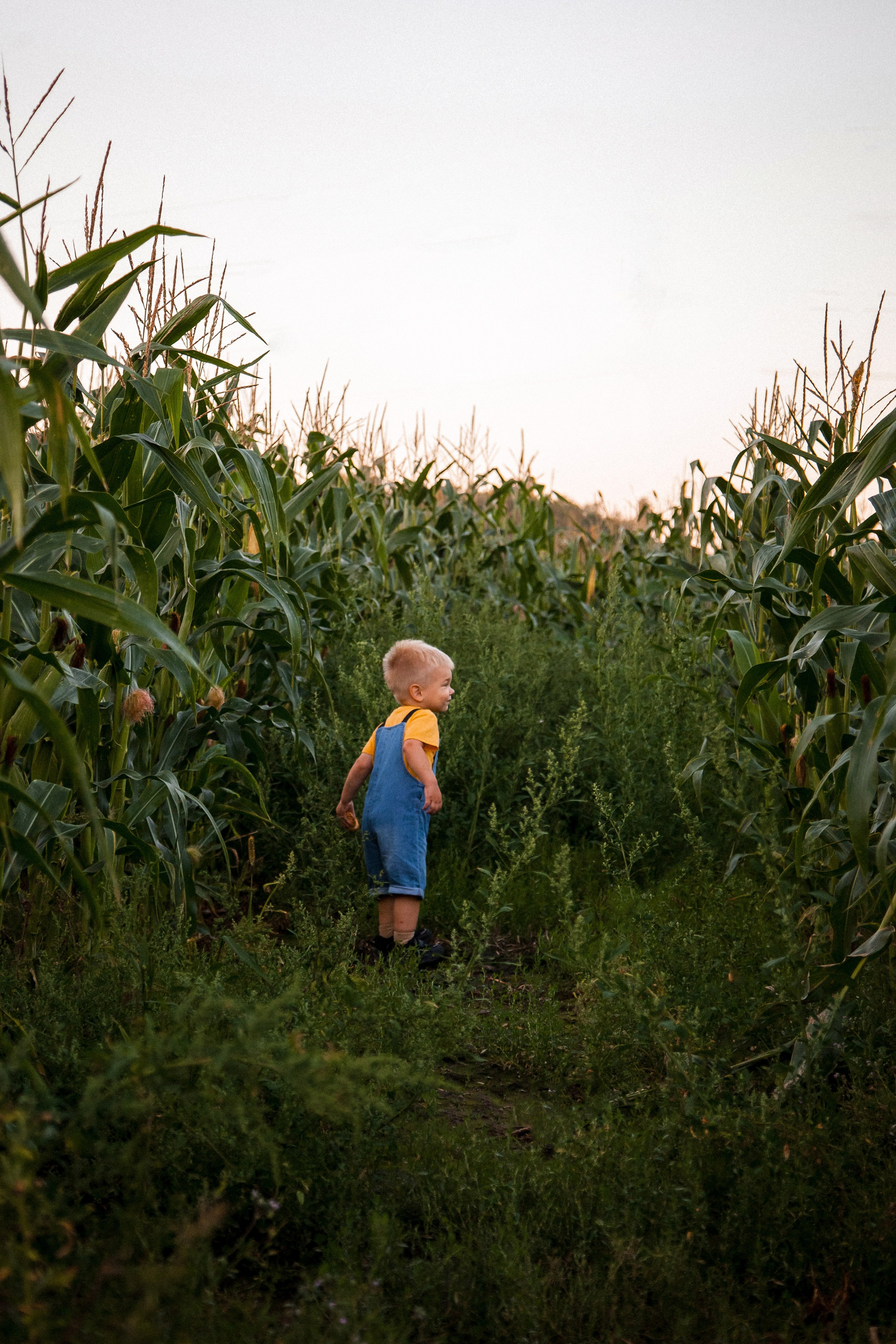 Миша и Маша. Портретный, семейный, свадебный фотограф в Брянске Маргарита Василькова