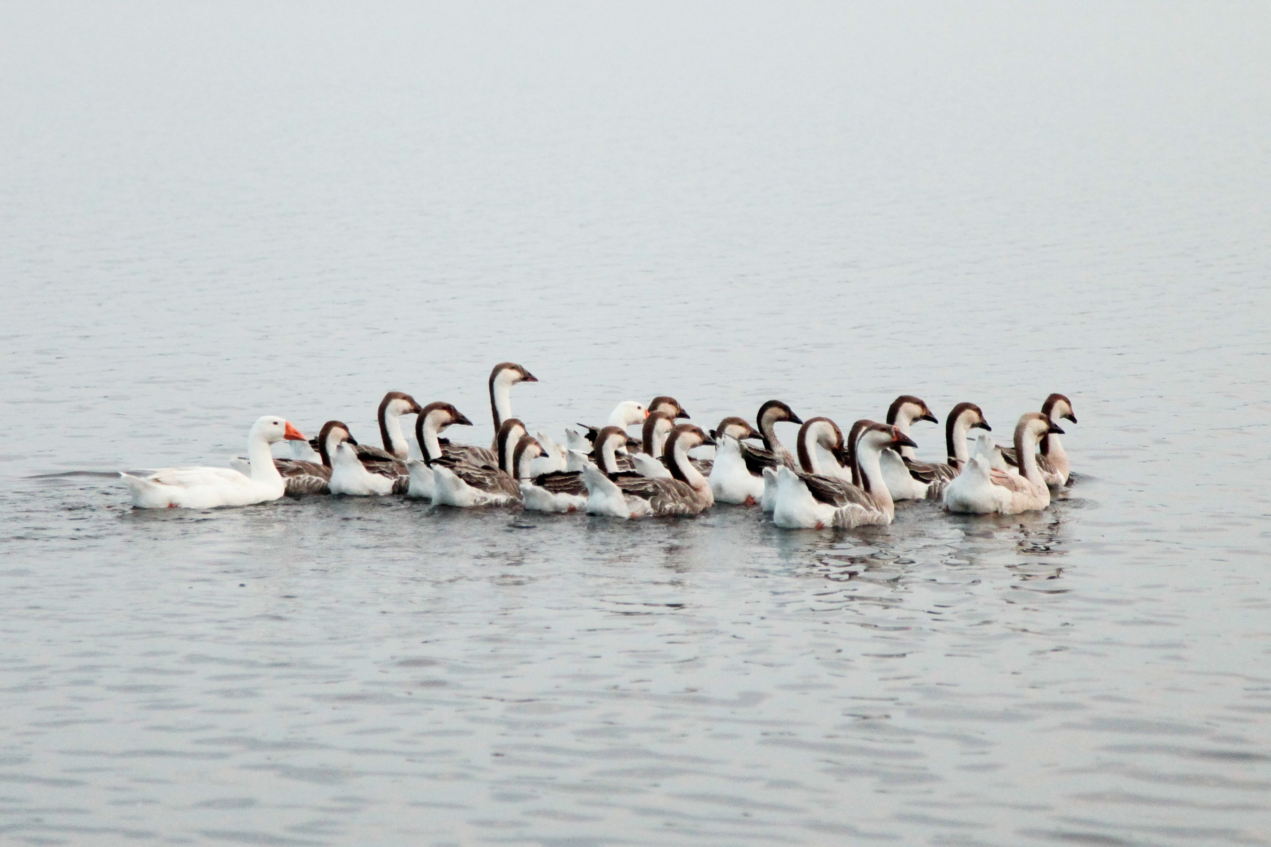 Фото Природы Забайкалья. Студия Максима Белослюдцева