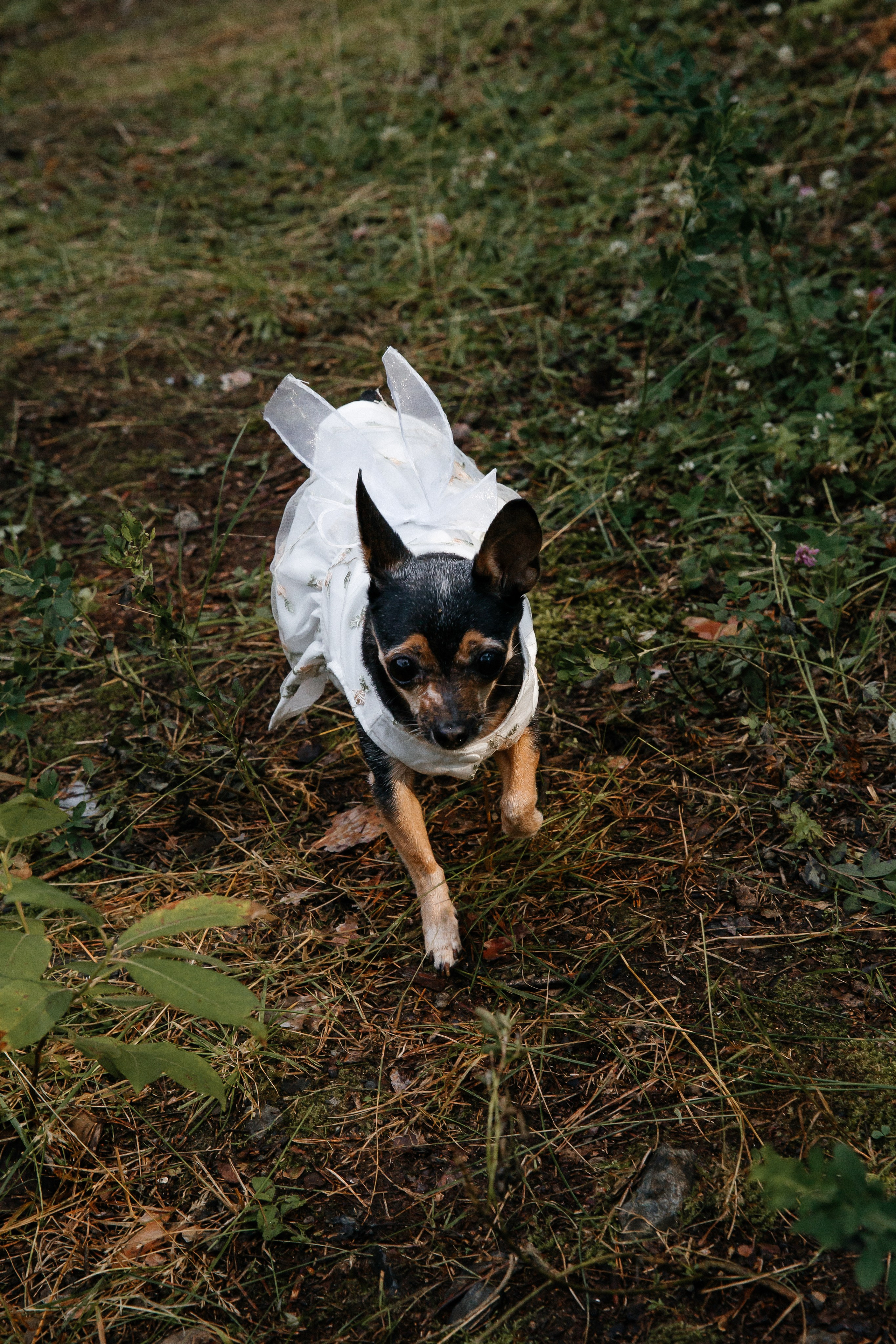 YUNONA & KONSTANTIN. Свадебный фотограф | Екатеринбург | Сочи | Артем Шестаков