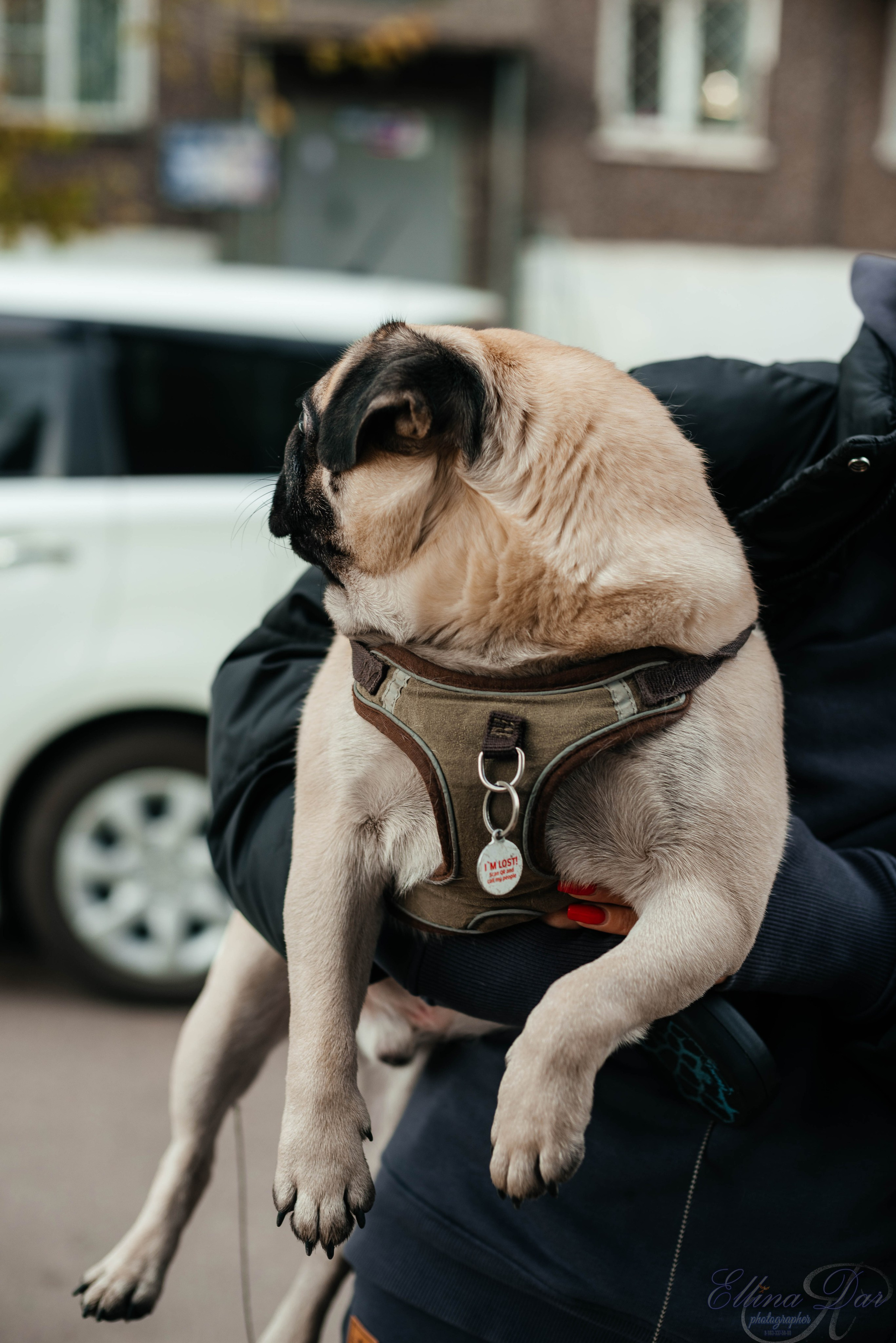 Аюмишка. Фотограф Эллина Дар г. Улан-Удэ