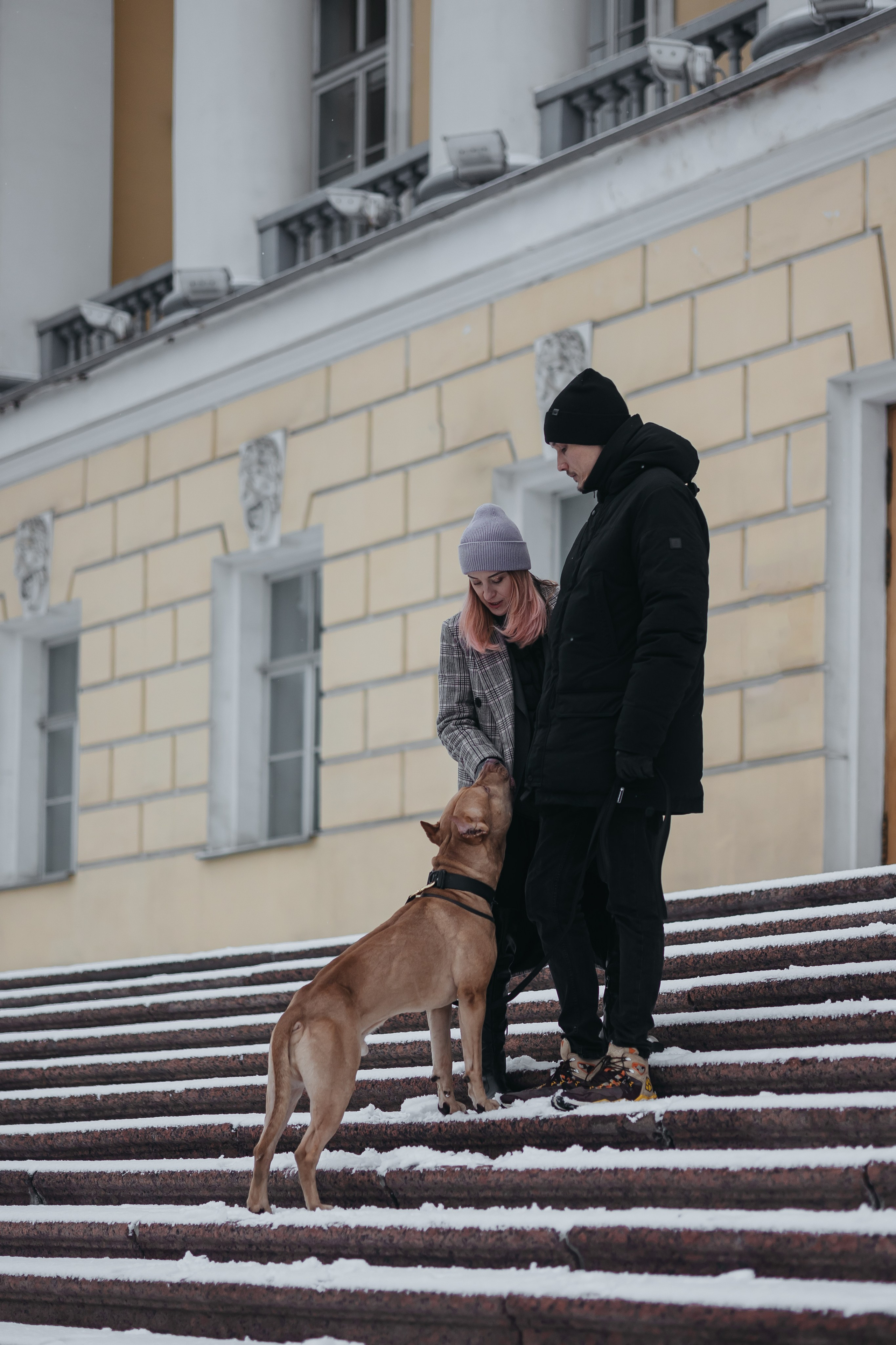 Саша, Света и Ицар. Фотограф-анималист в Санкт-Петербурге Алина Яхонт