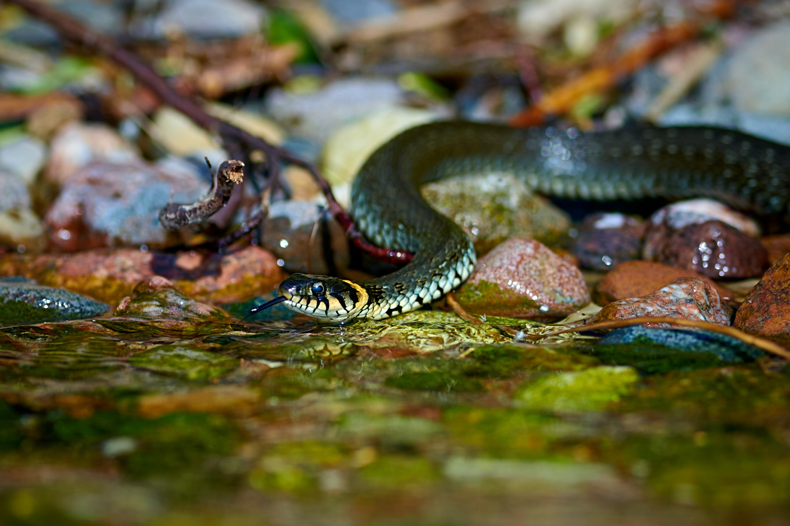 LIFE. Андрей Таволжанский — Фотограф