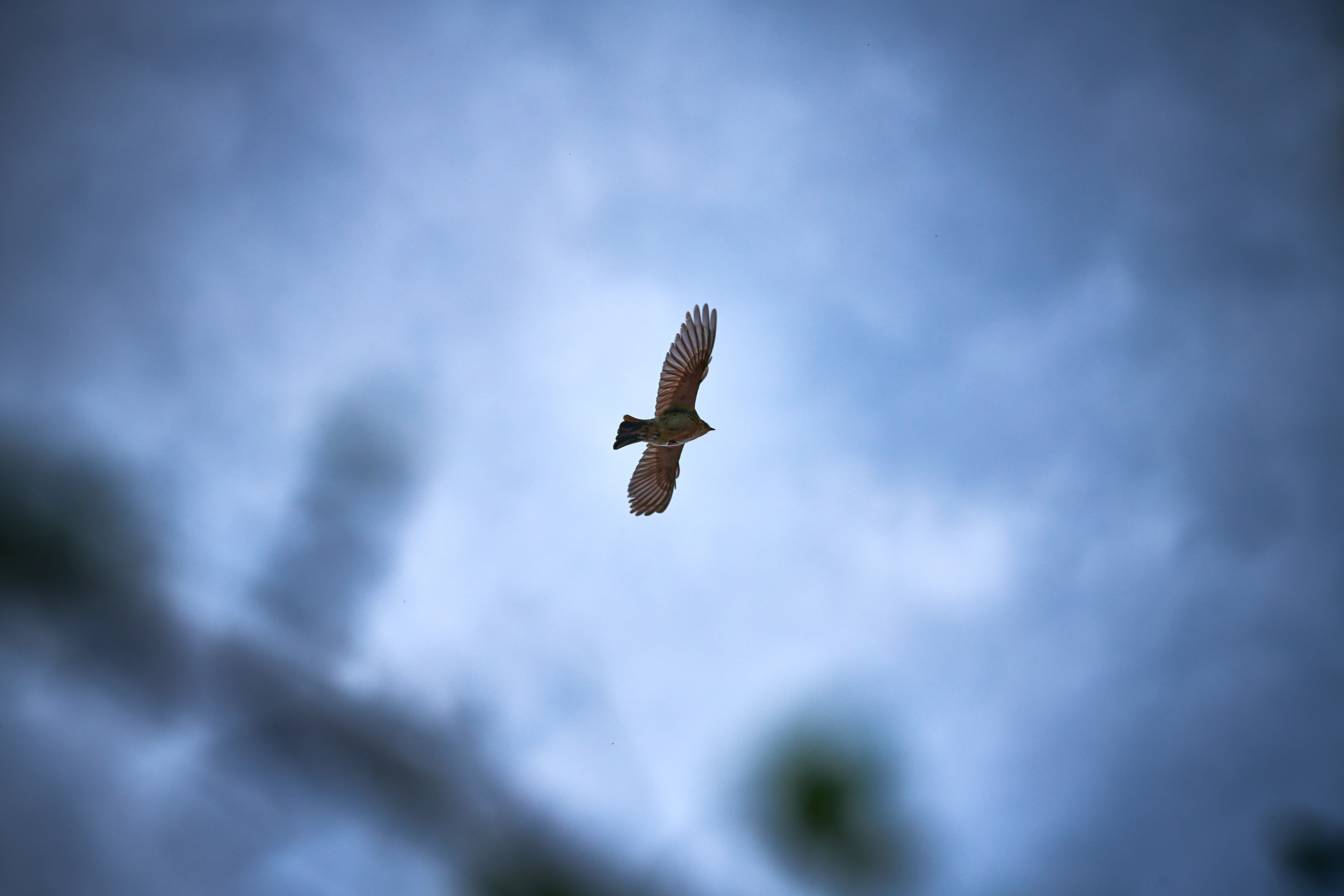 LIFE. Андрей Таволжанский — Фотограф