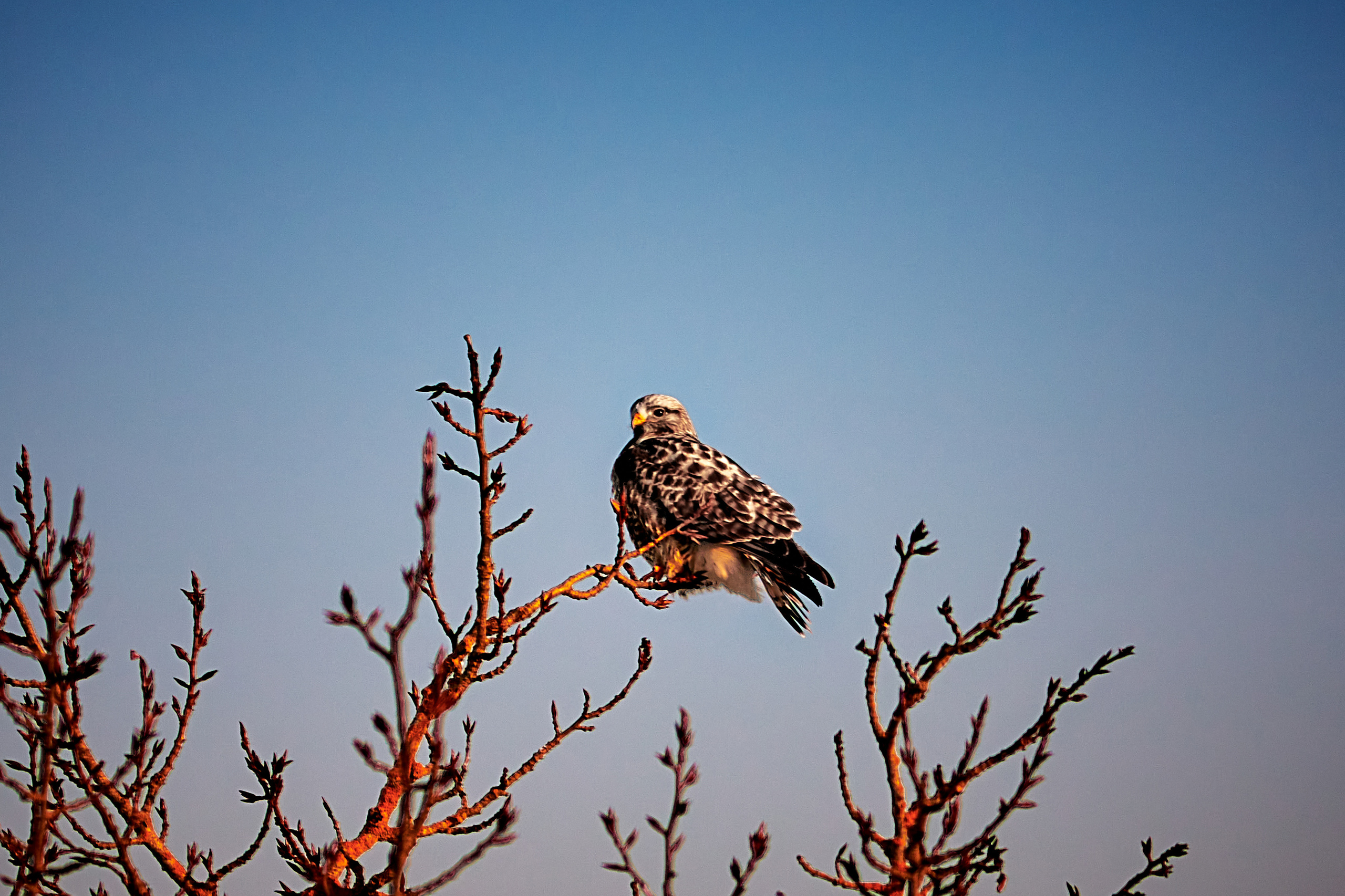 LIFE. Андрей Таволжанский — Фотограф