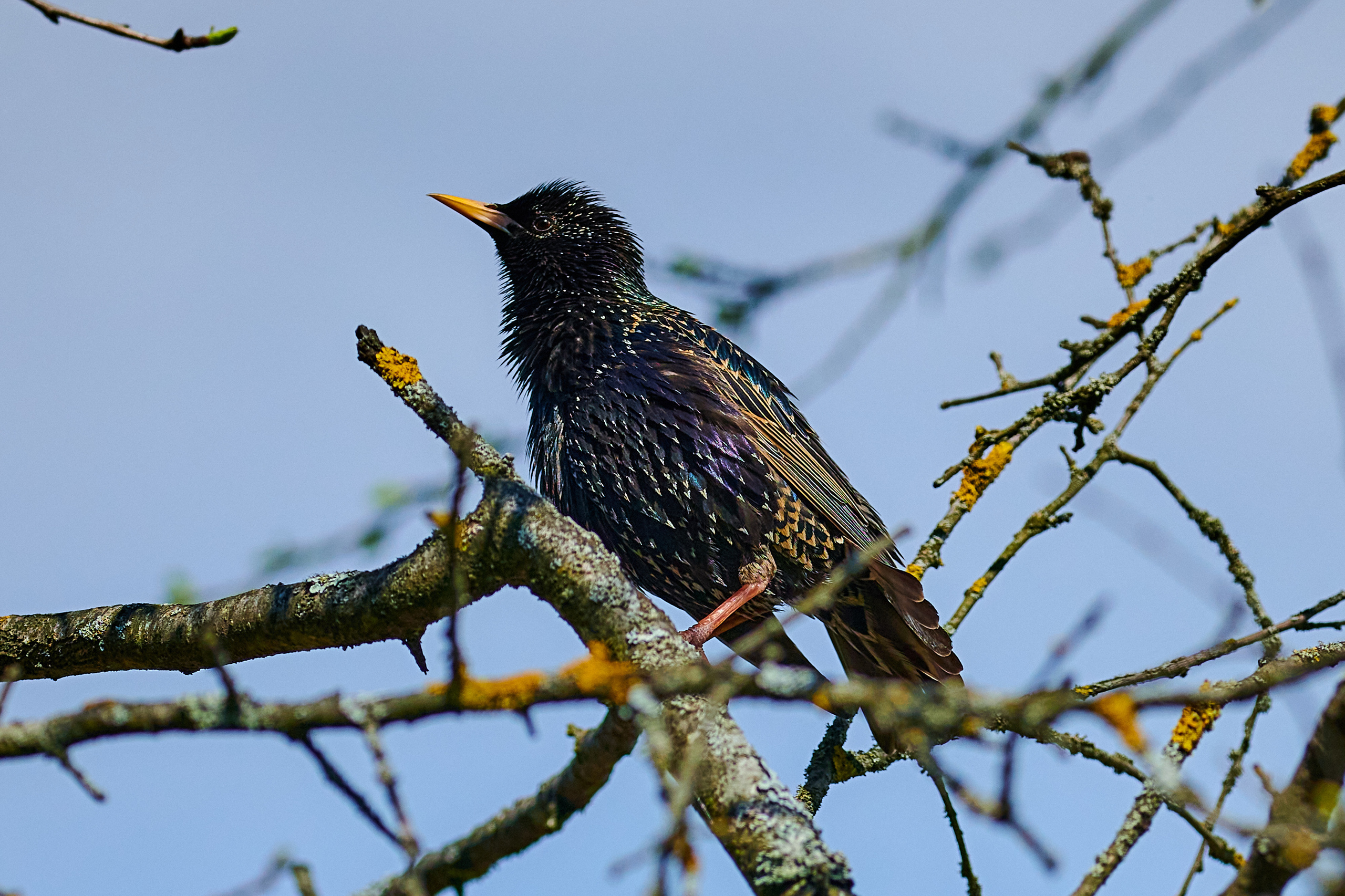 LIFE. Андрей Таволжанский — Фотограф