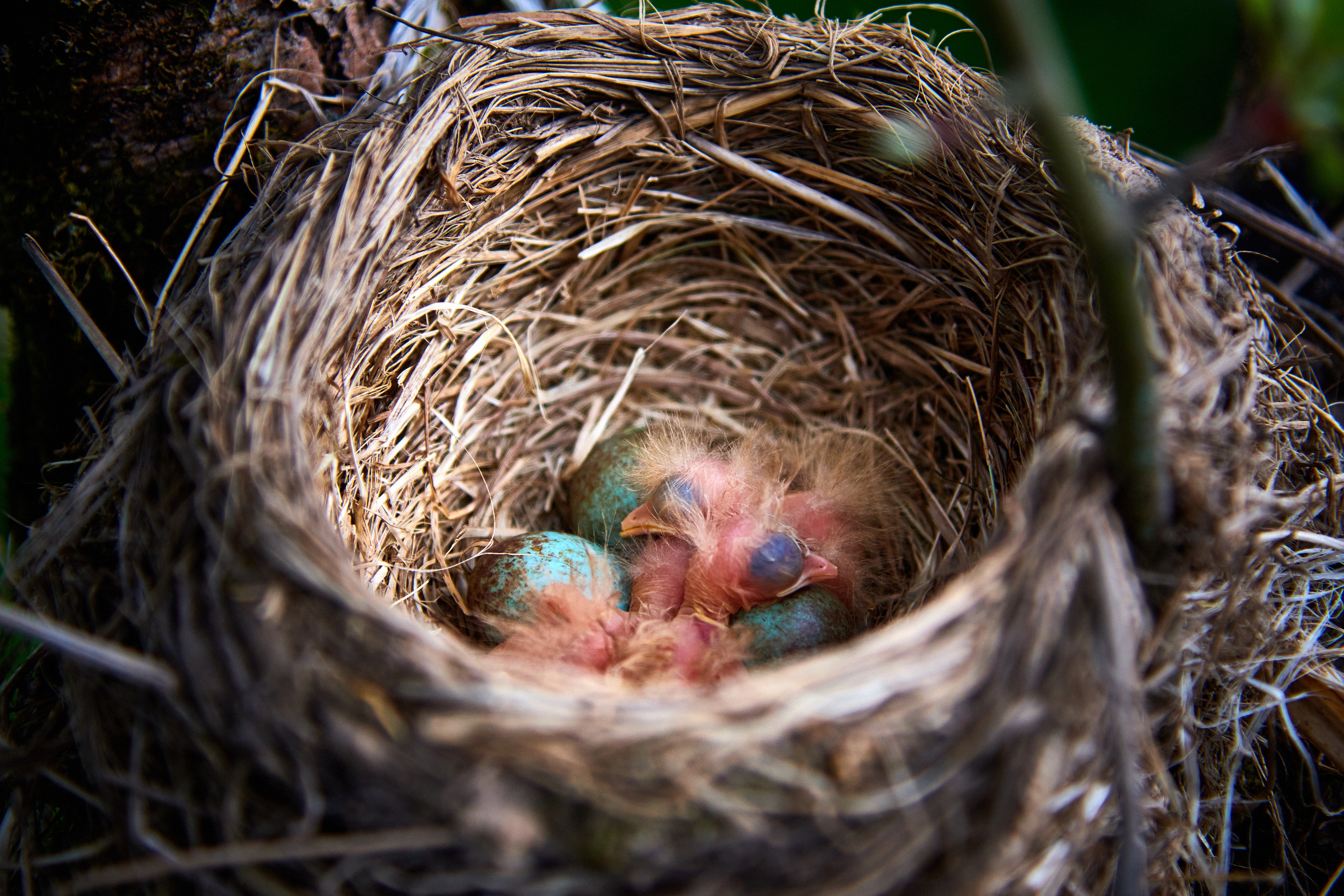 LIFE. Андрей Таволжанский — Фотограф
