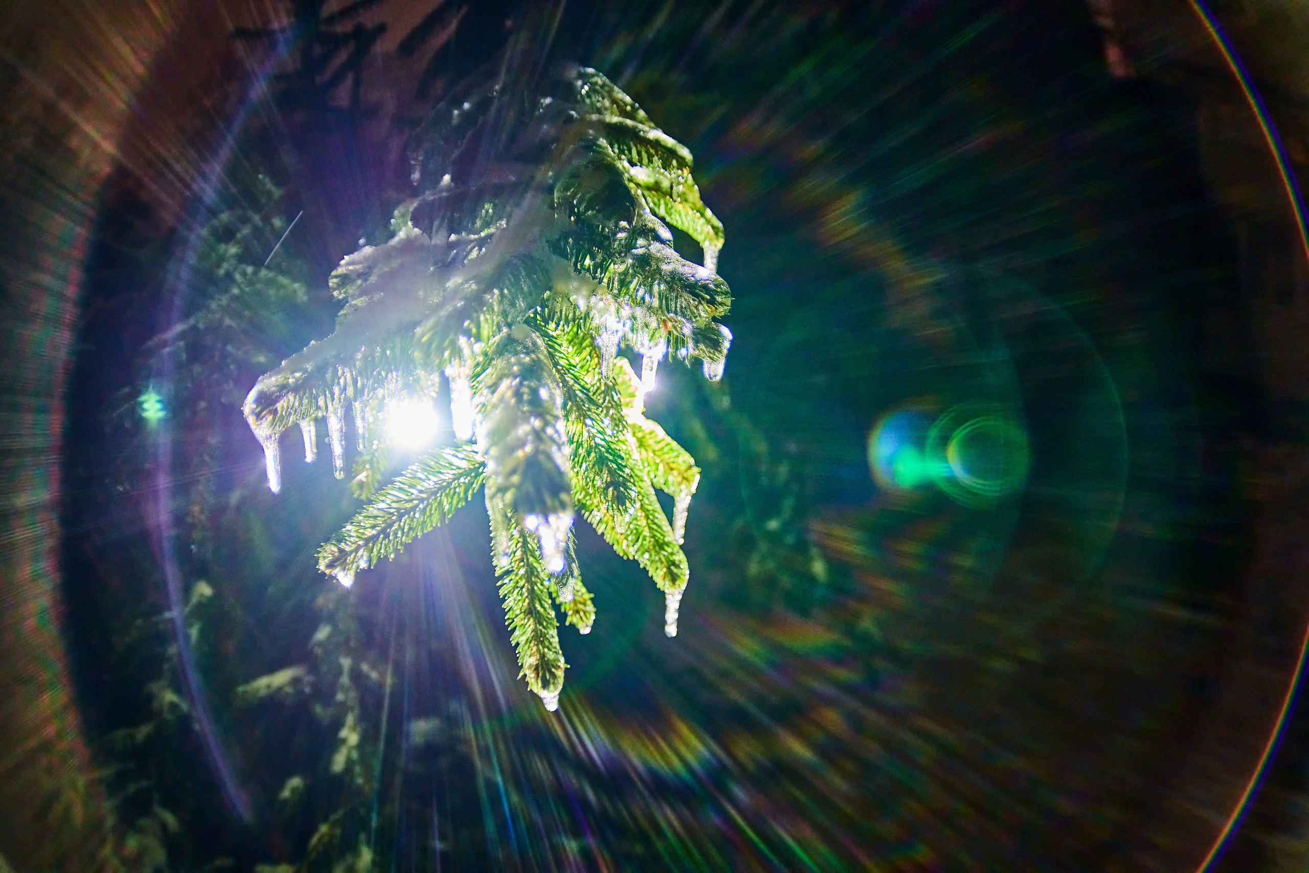 LIFE. Андрей Таволжанский — Фотограф