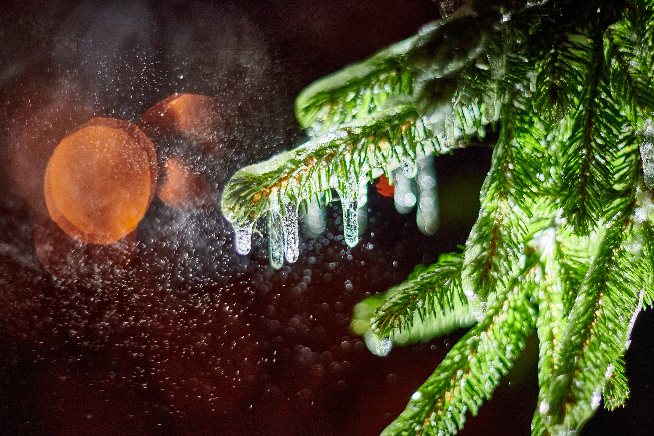 LIFE. Андрей Таволжанский — Фотограф