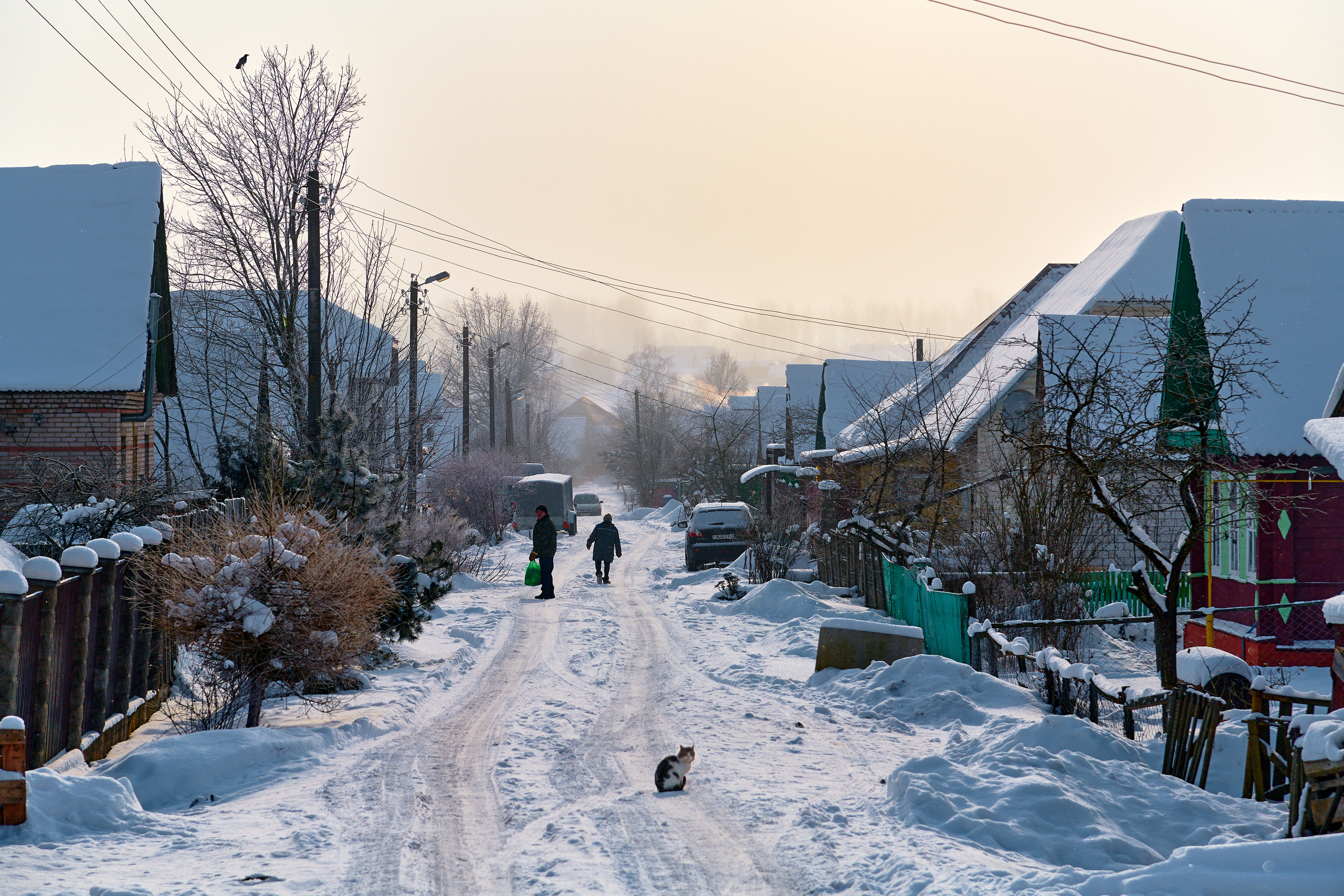LIFE. Андрей Таволжанский — Фотограф