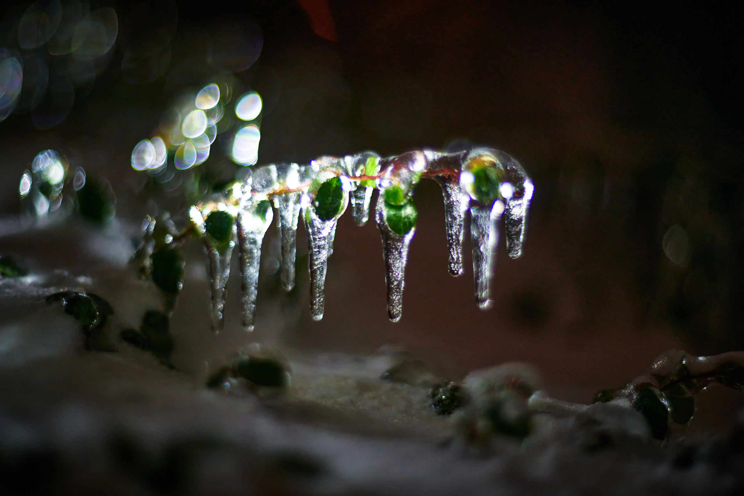 LIFE. Андрей Таволжанский — Фотограф