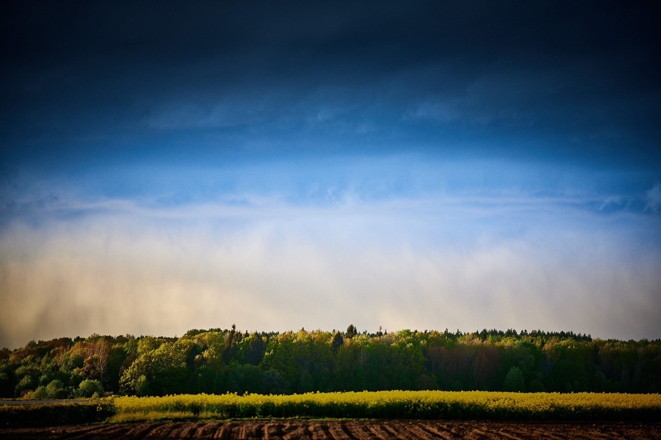 LIFE. Андрей Таволжанский — Фотограф