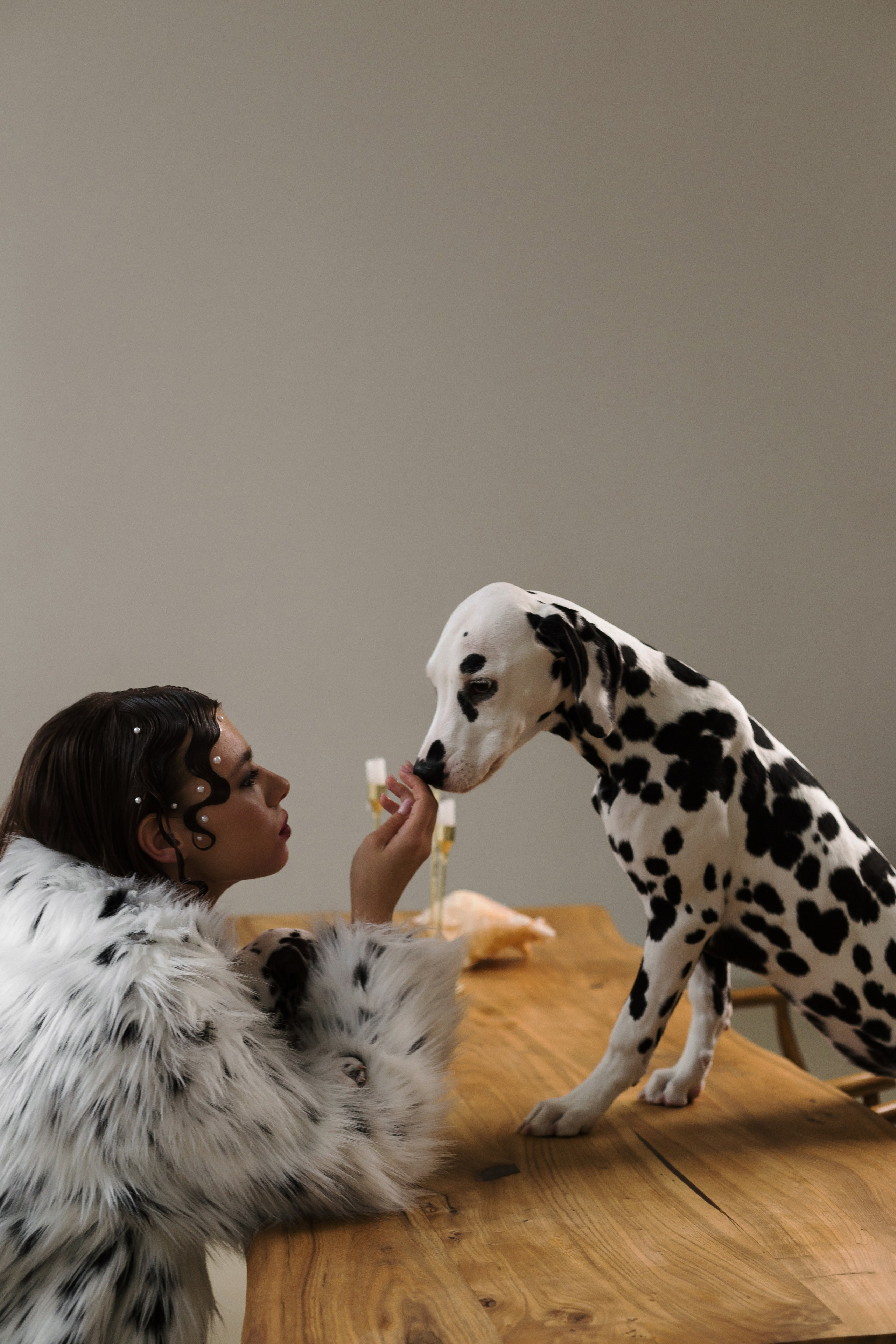 Md:@m_korsunenko Hair: @aleksandrova.hair Org: @creative_photoday Loc: Ark studio | фотостудия СПБ Dogs: vk.com/club2372836