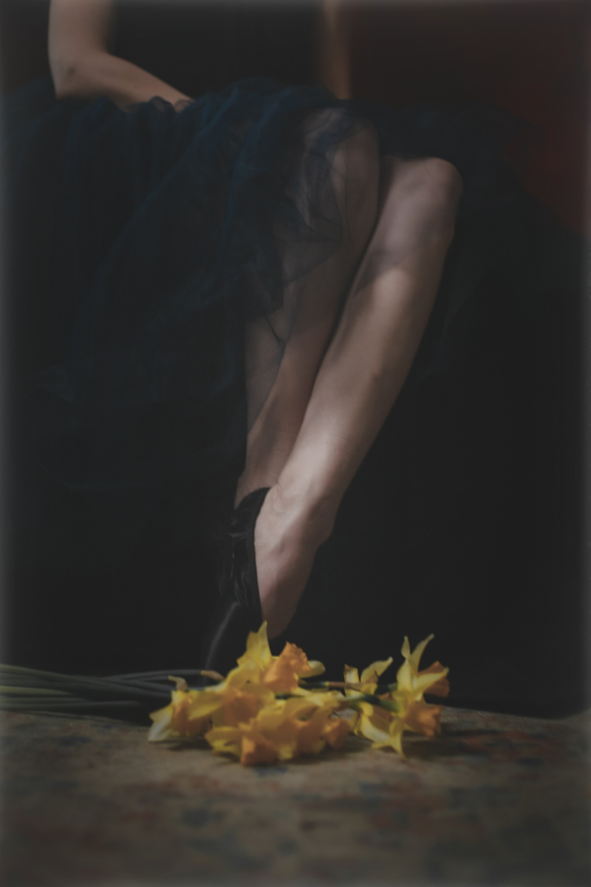 Картина. Домашняя студия. RawCat. Портретная фотография Екатеринбург