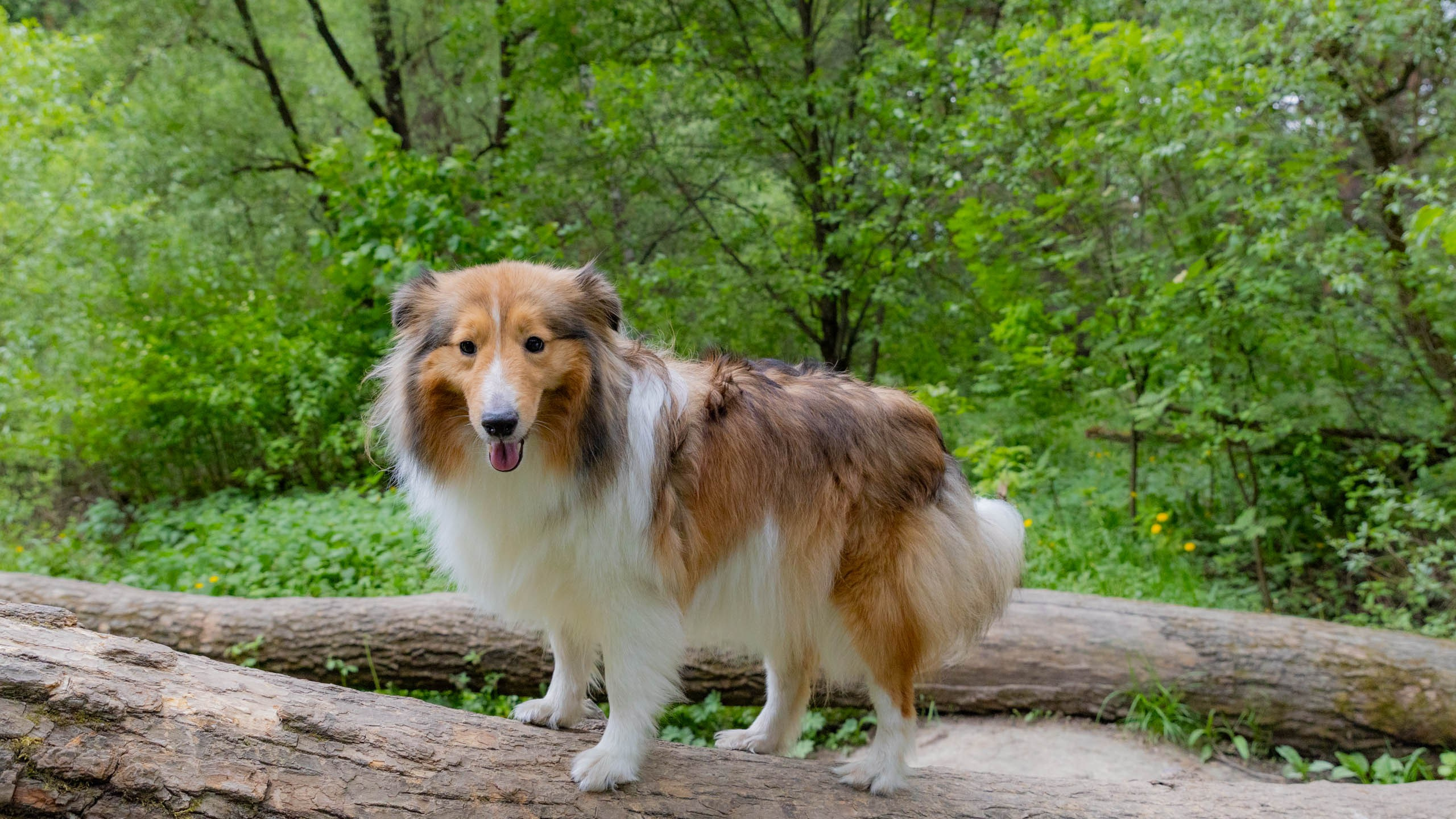 202405 Элис и Лора. Фотографии