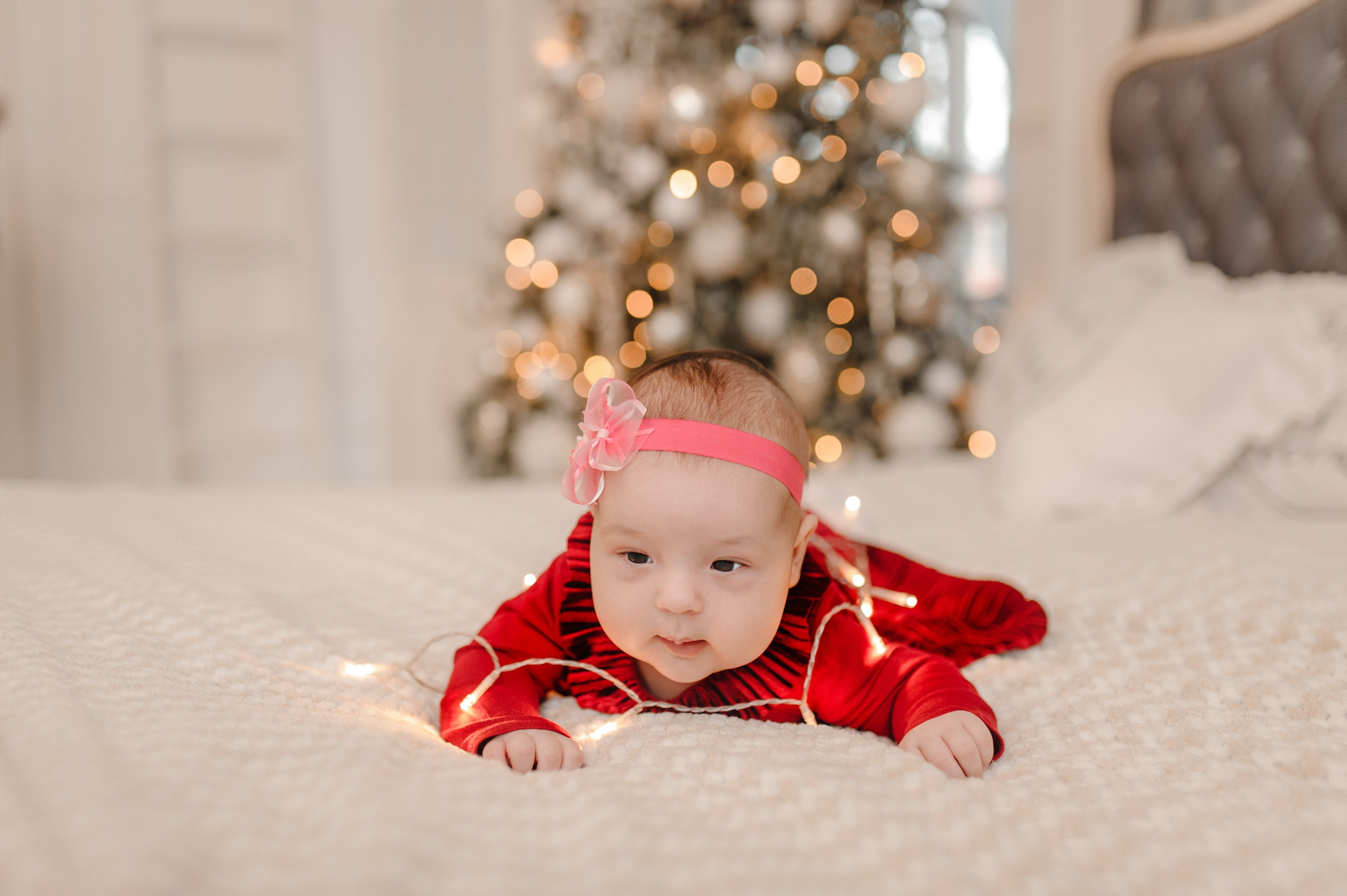 Новогодняя фотосессия в студии. Дмитрий Черяник свадебный и семейный фотограф