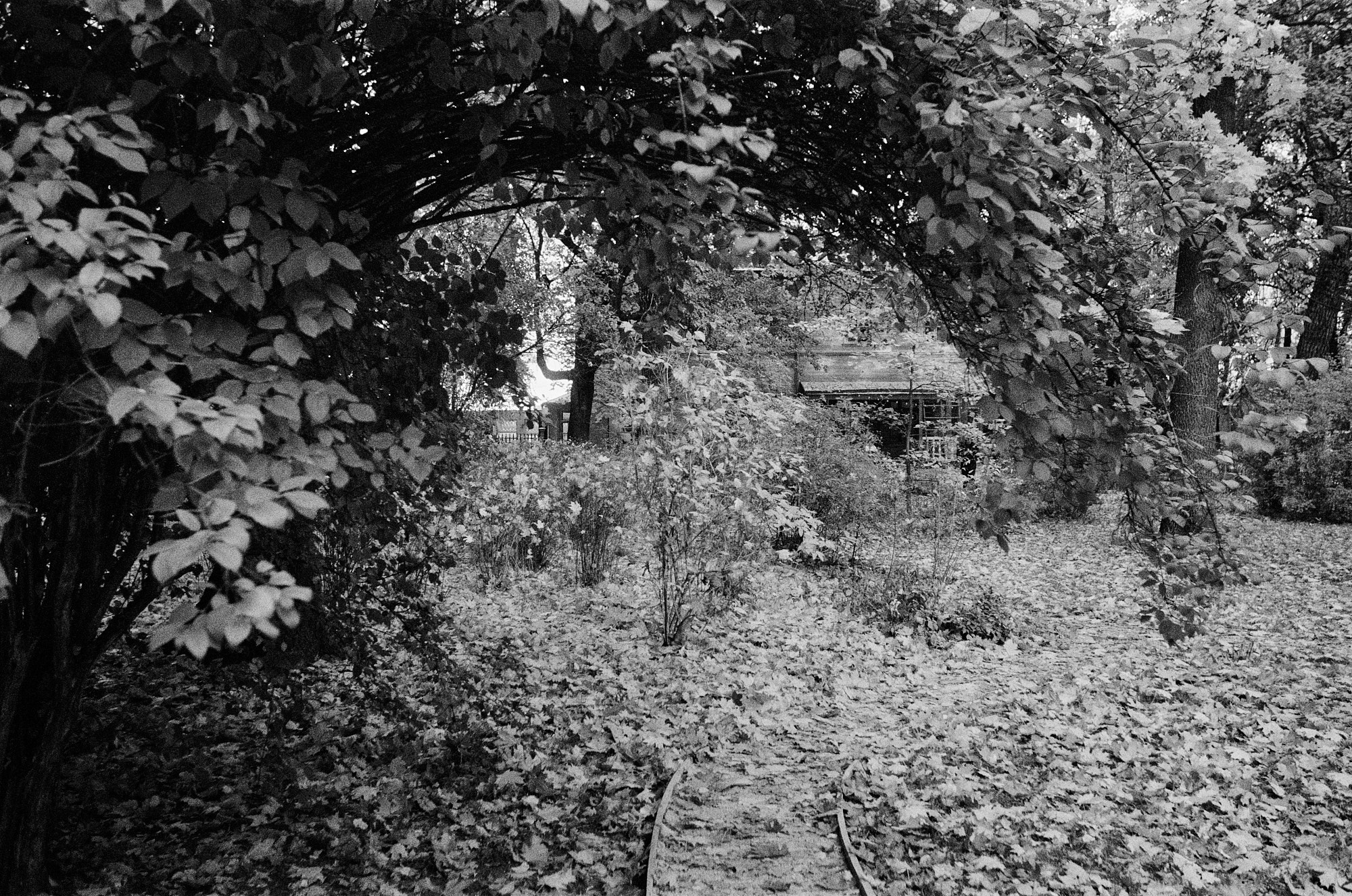 The Lev Tolstoy House Museum. Another person Pavel Potseluev. A photographer in 2025