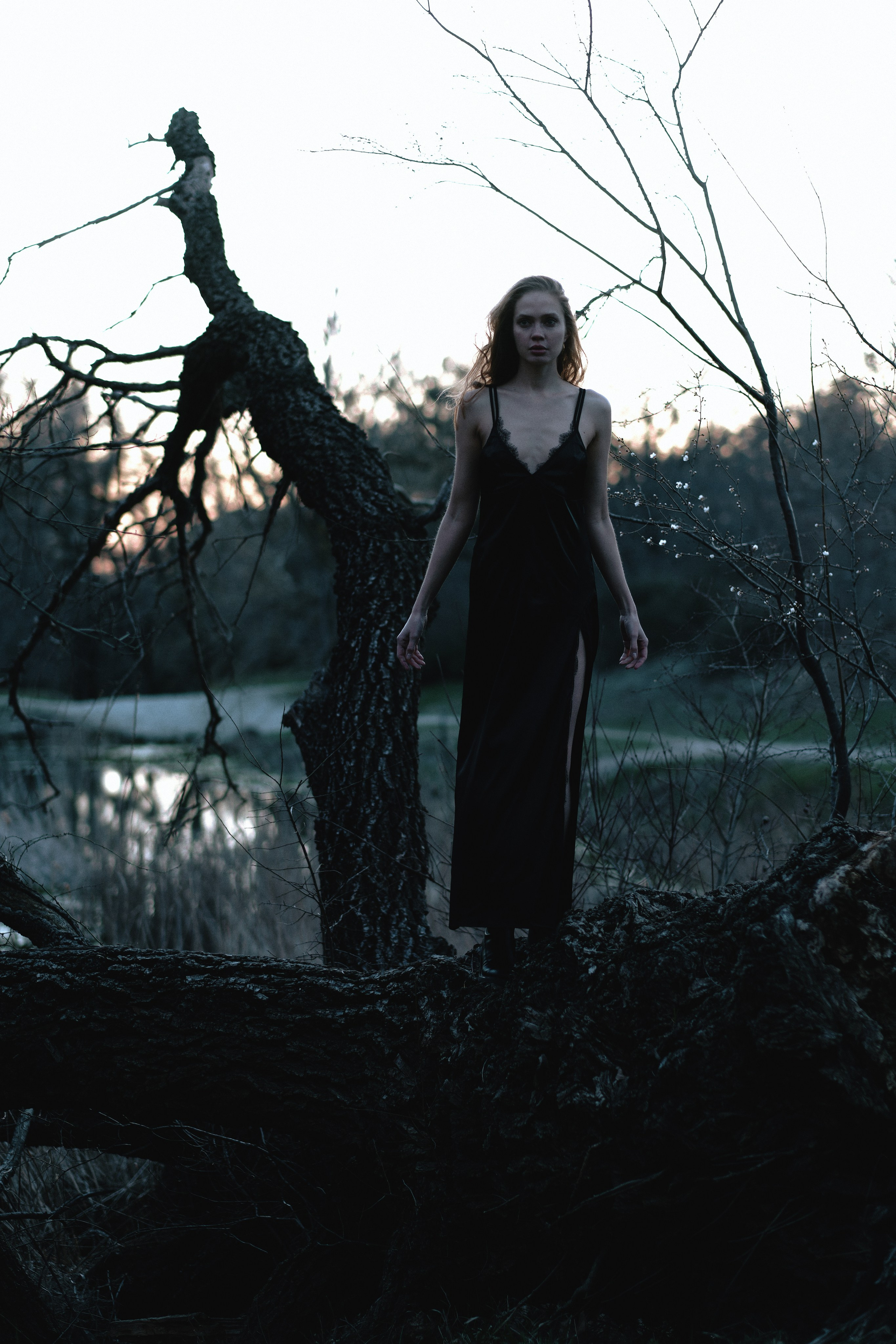 Moonlight. Gerasko Aleks — Портрет, кричащий тишиной