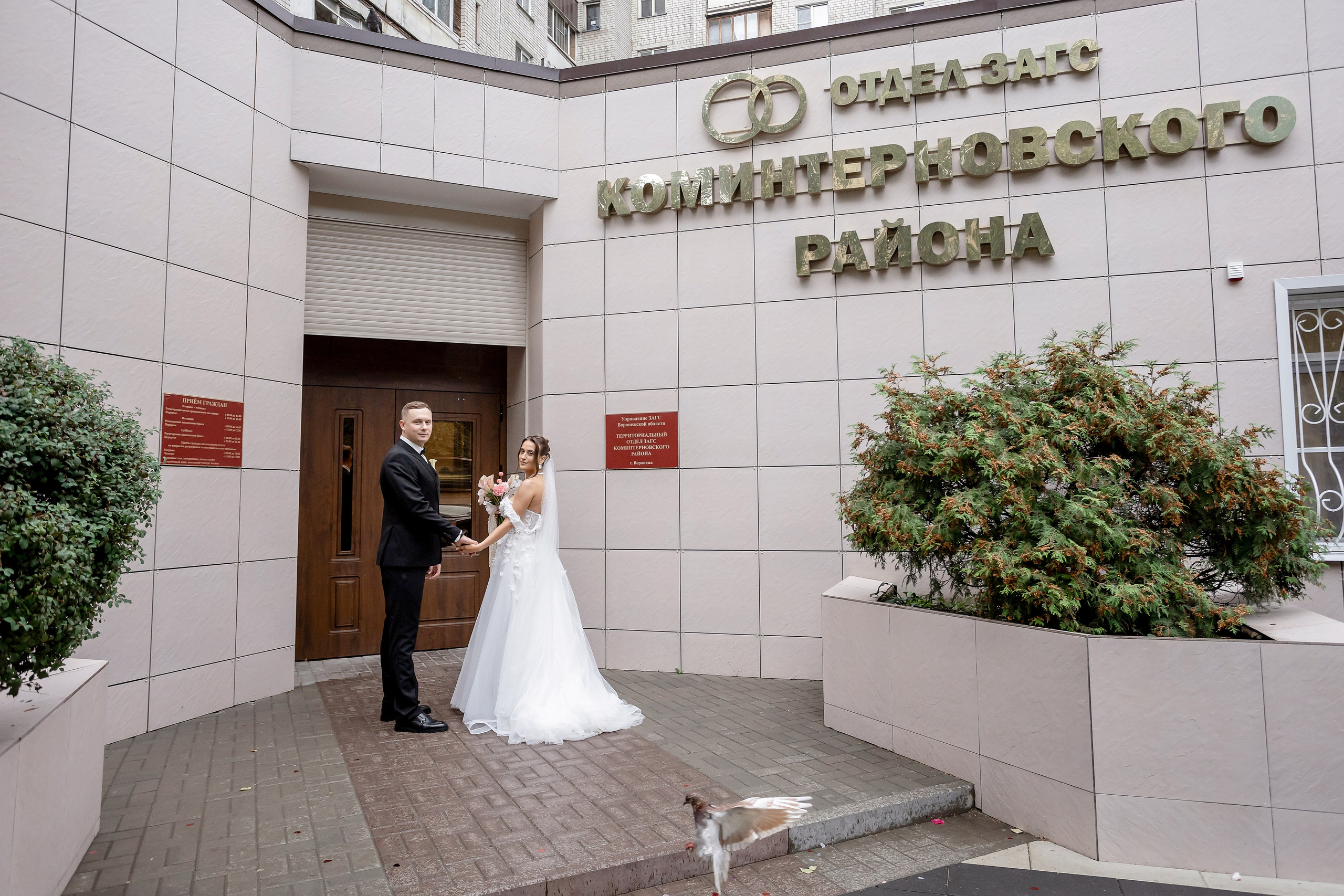 АЛЕКСАНДР И АЛИНА. Свадебный фотограф в Воронеже Ирина Кривцова