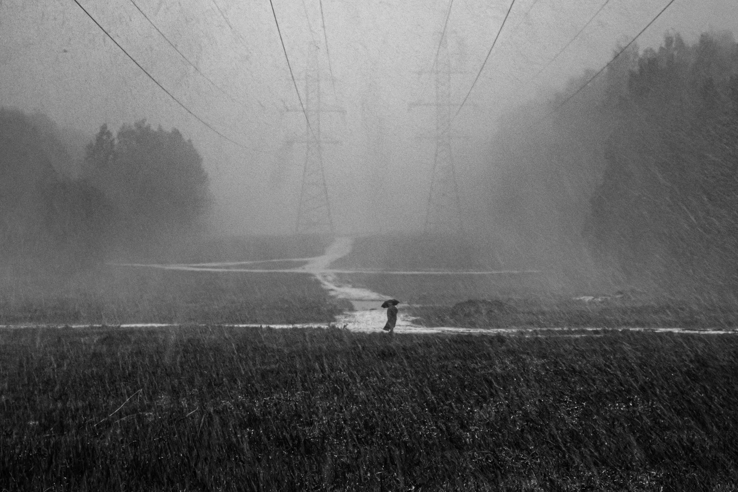 Фотограф в Москве, фотожурналист Александр Малахов