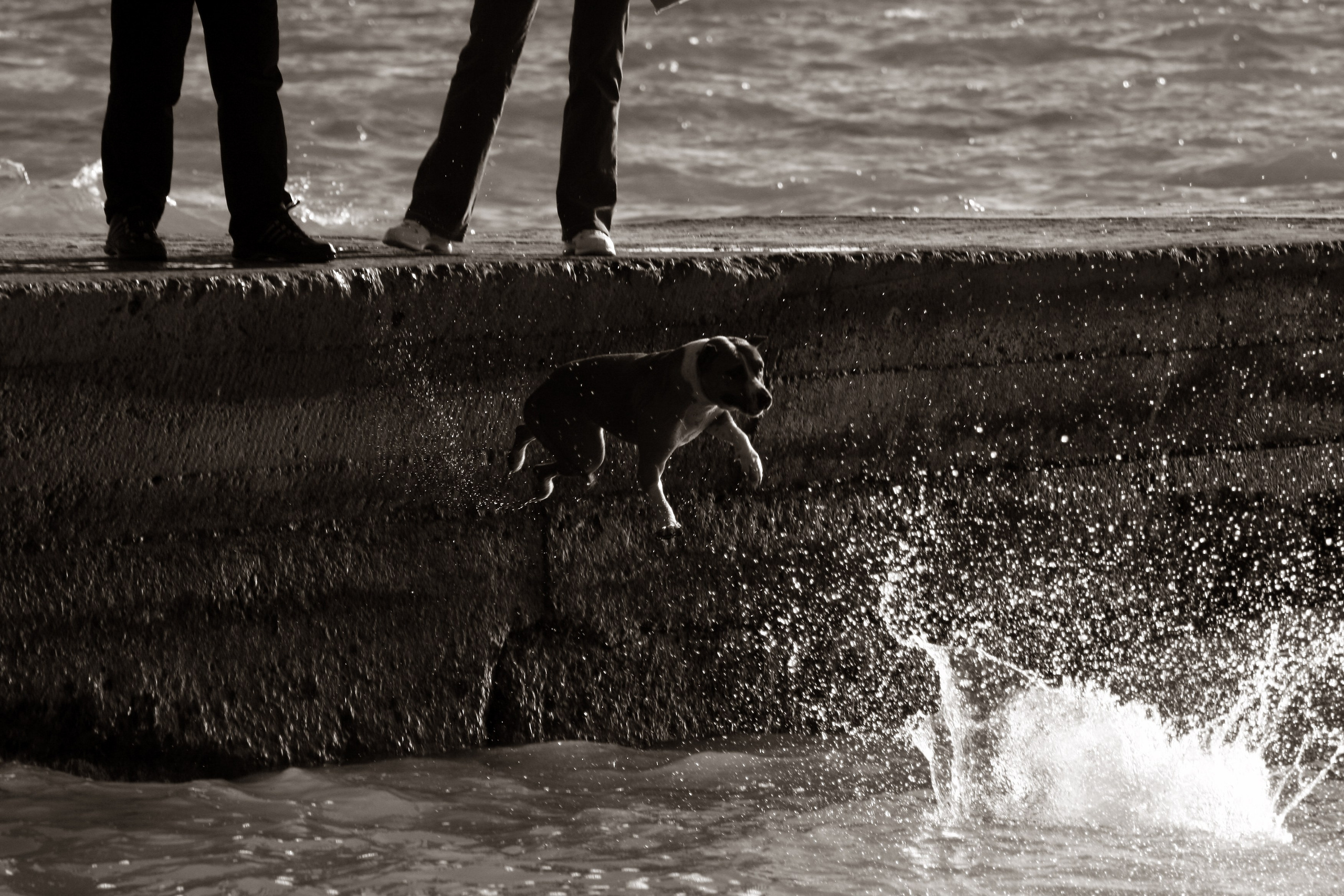 Жанр. Фотограф Лагутин Анатолий