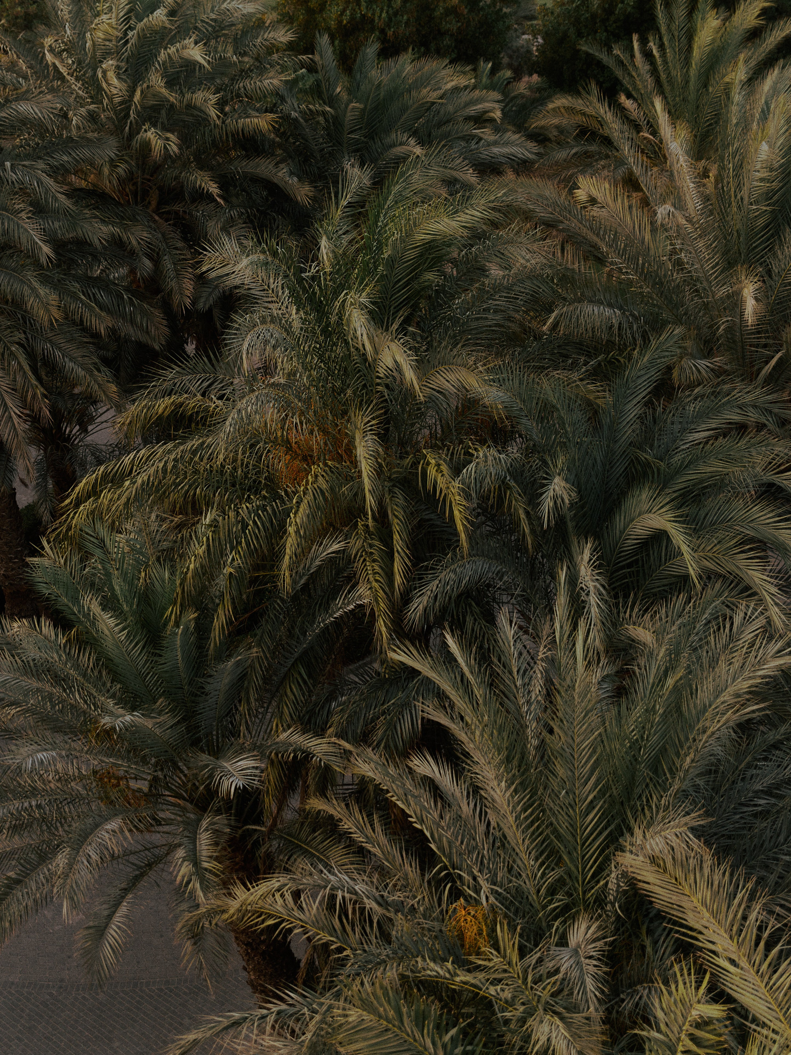 Другое. Jorgis Talè — photographer, kind person, teacher of arts and other mag