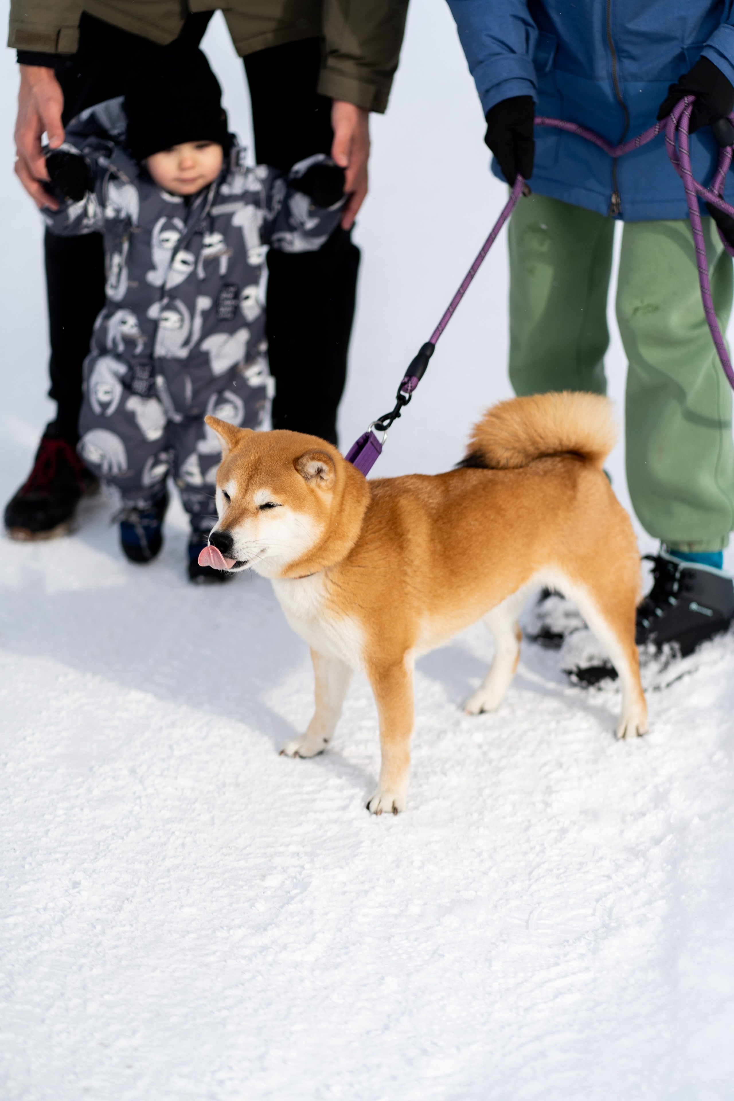 Соня&Лёня. Анастасия Паршукова — фотограф Шерегеш Новосибирск