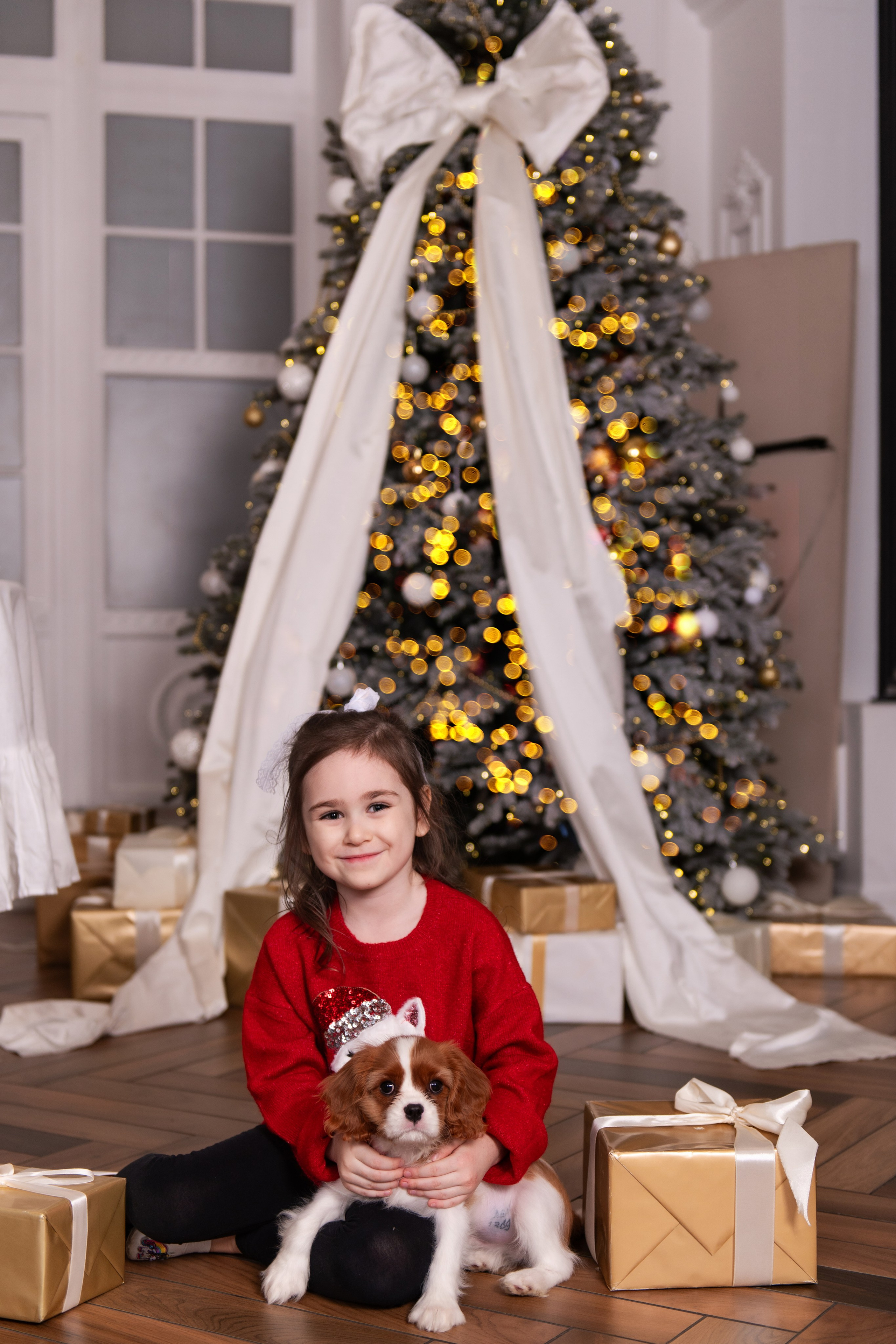 Новогодняя история с любимцем. Свадебный и семейный фотограф в Санкт-Петербурге — Мария Черепанова
