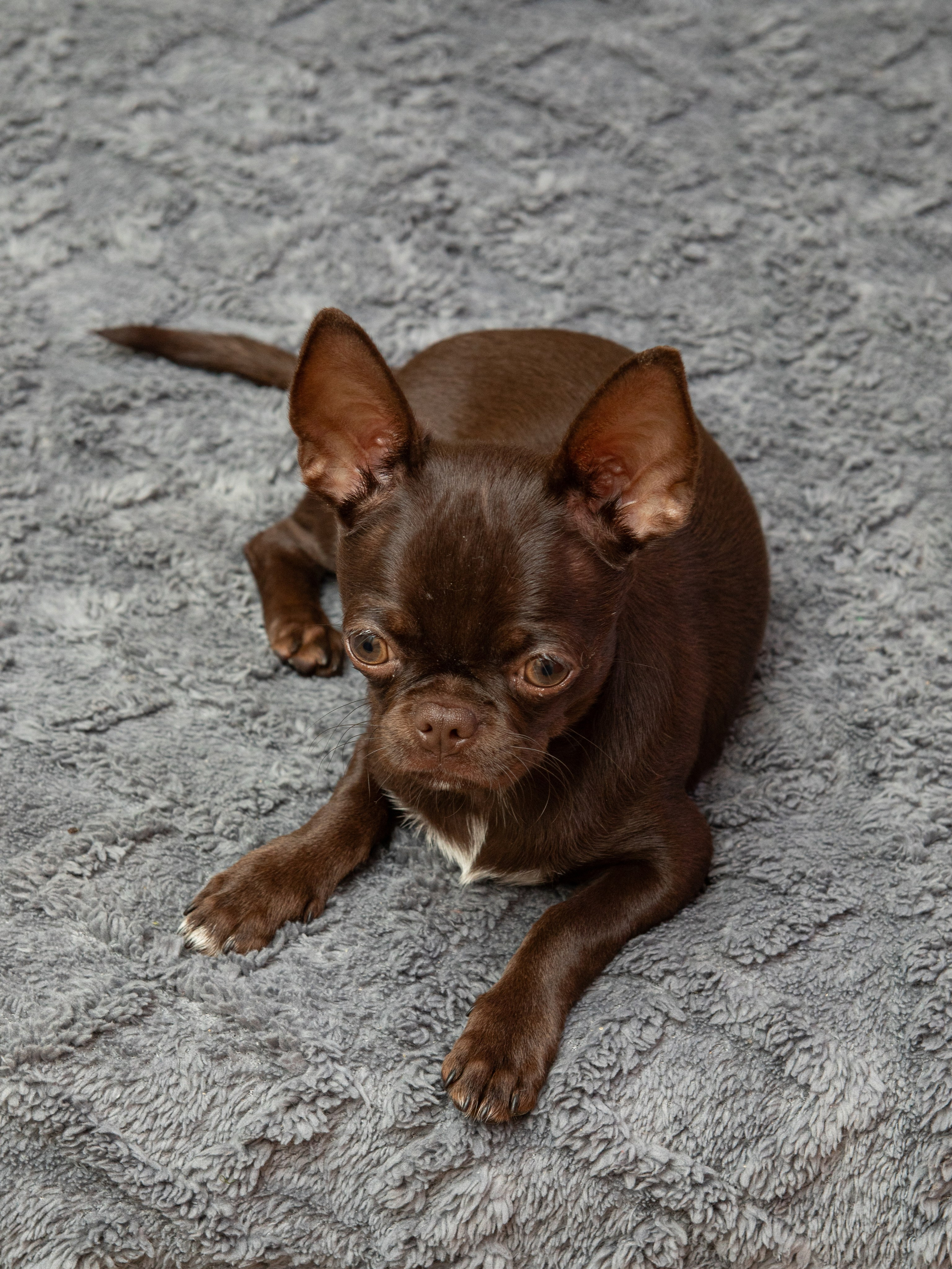 Серии. Предметный и семейный фотограф в Санкт-Петербурге Катерина Стеклова