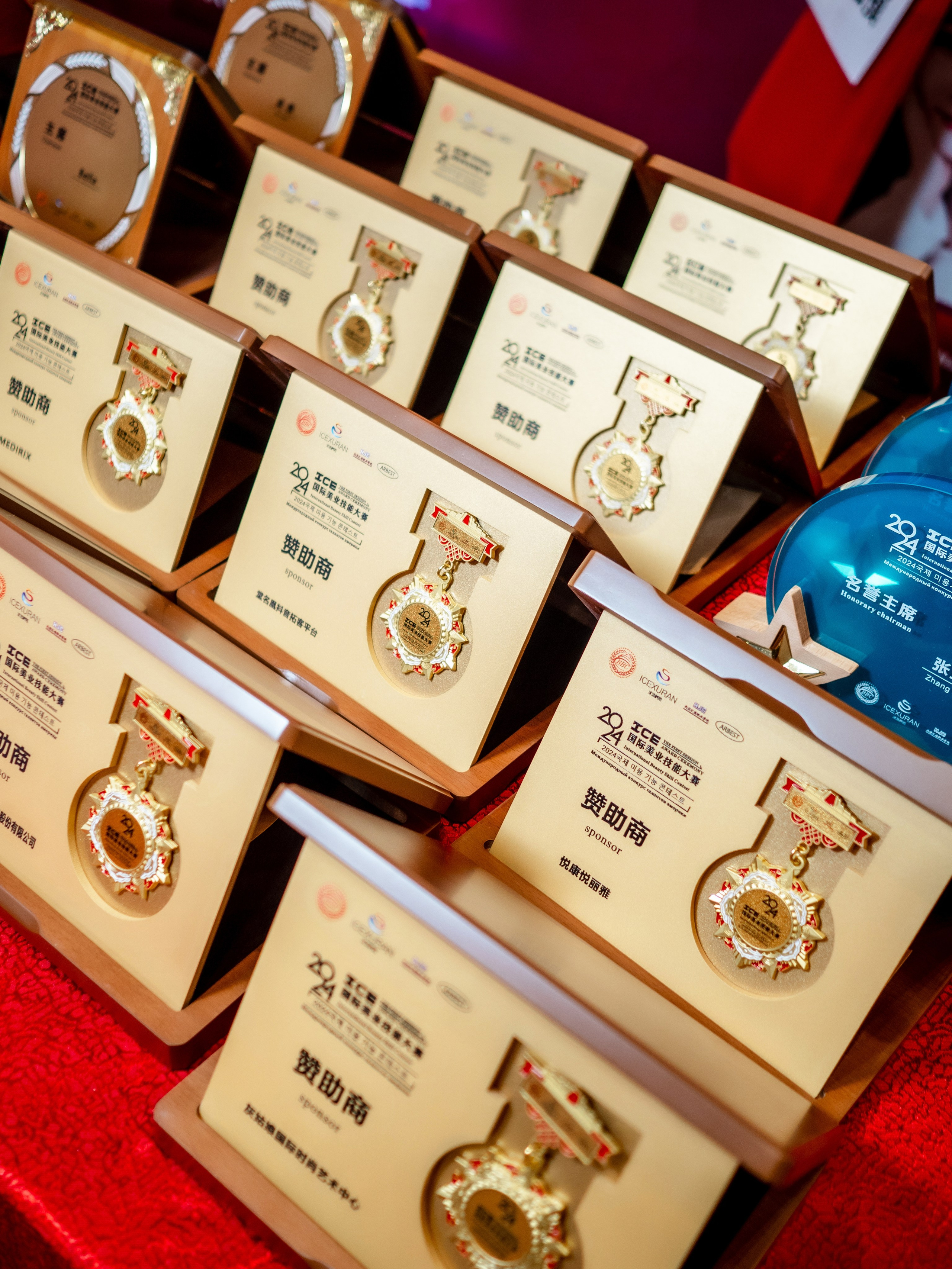 INTERNATIONAL PROFESSIONAL SKILLS INSTRUCTOR. CHINA 2024. Кулишова Катерина — твой фотограф