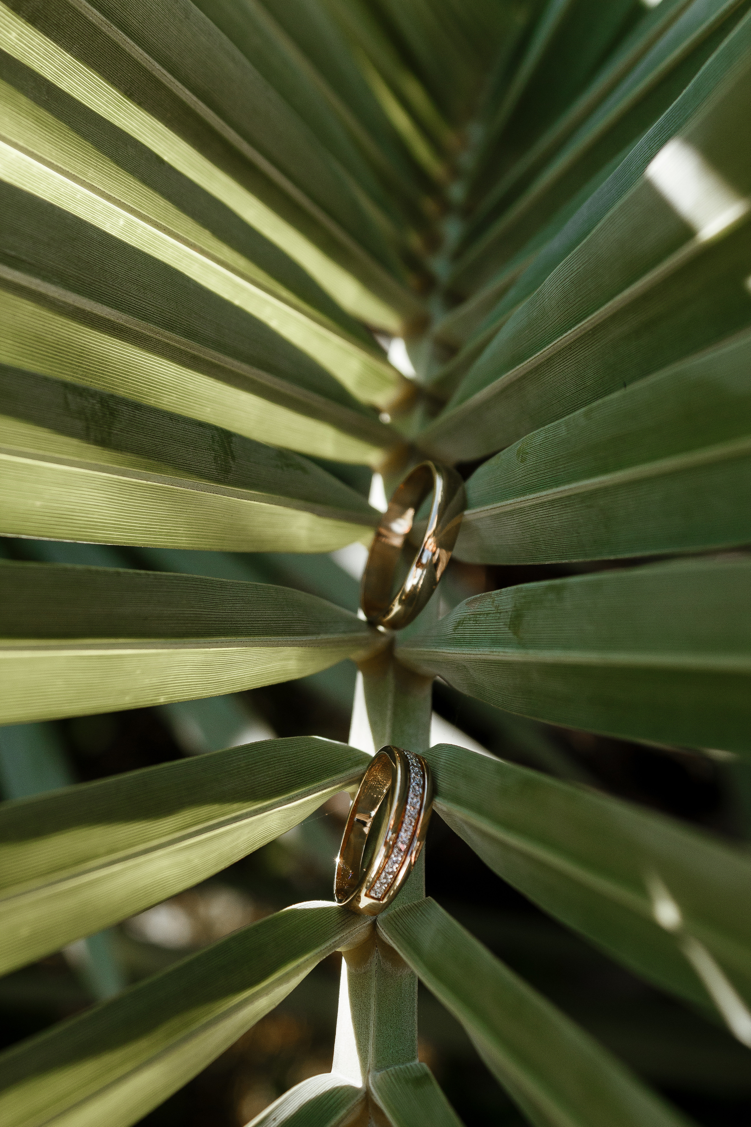 Илья и Марина. Свадебный фотограф в Сочи, СПБ, Москве Бражников Сергей