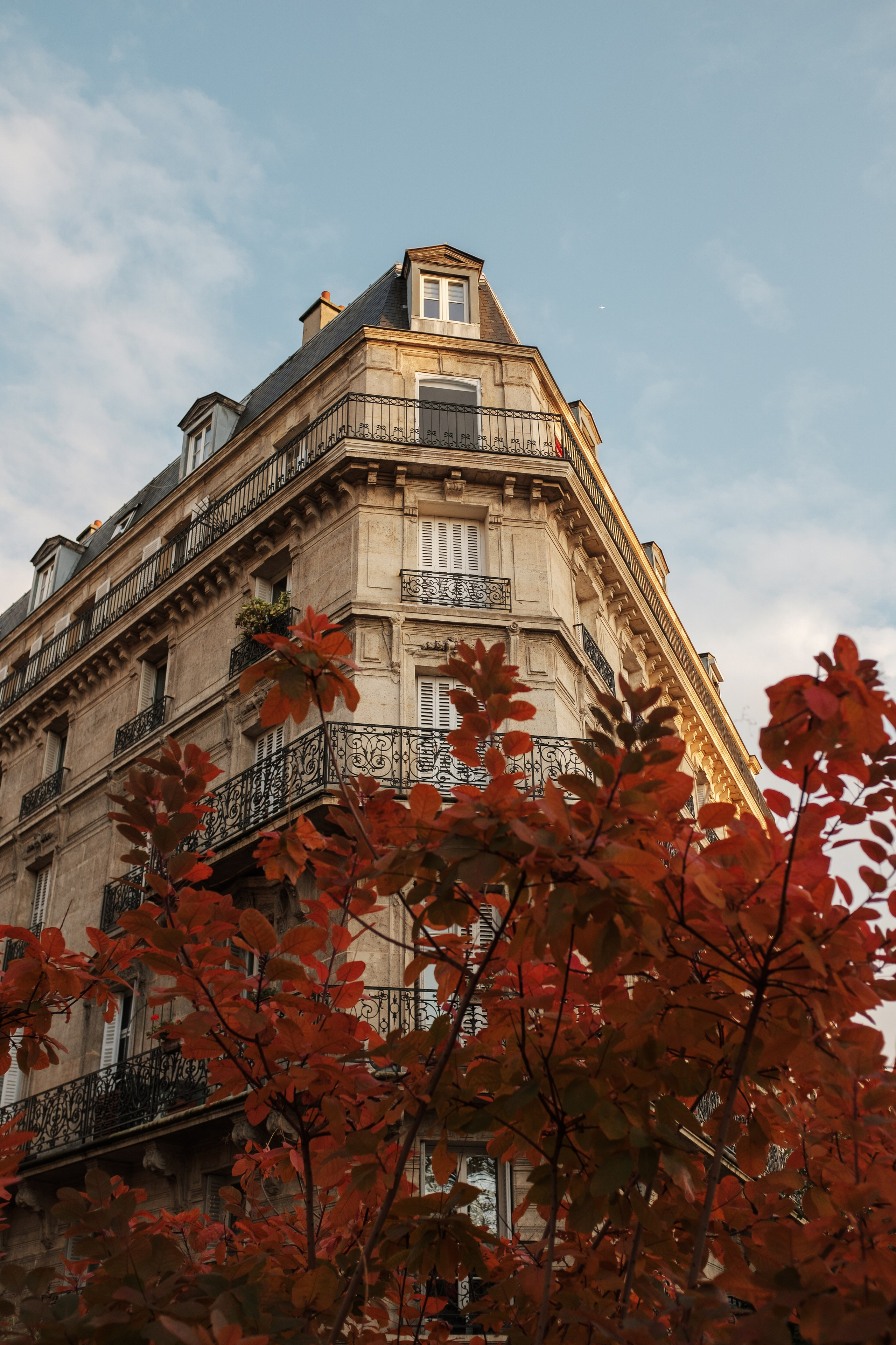 Франция. Фотограф Екатерина Катунова | Москва