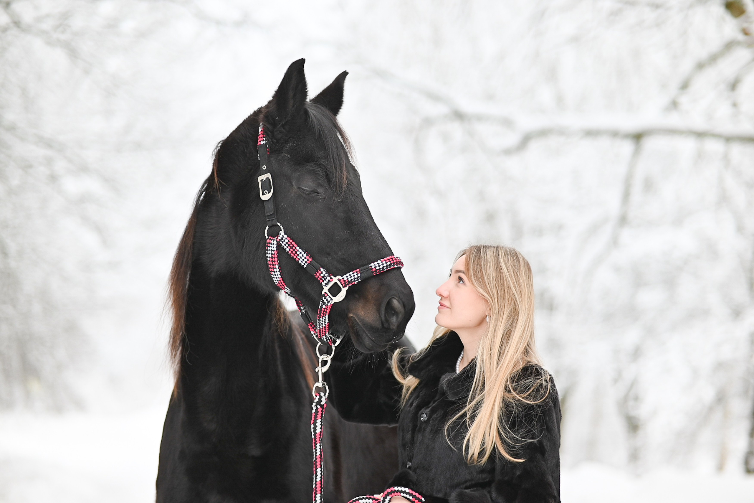 King. LifeStyle фотограф Анна Воробьёва Санкт-Петербург