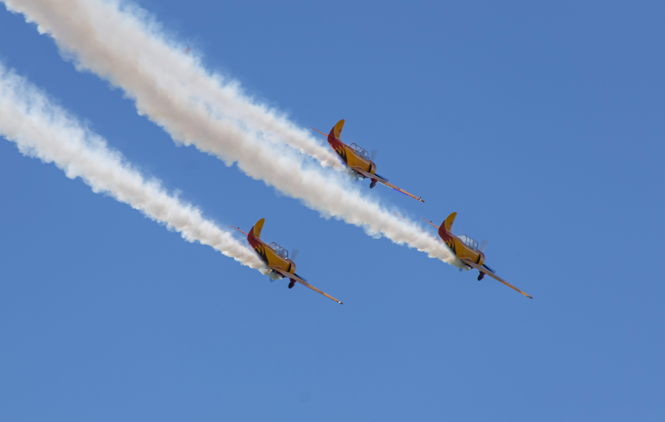 Крылья Пармы 2025 г. KATERINA VINOKUROVA ФОТОГРАФ ПЕРМЬ