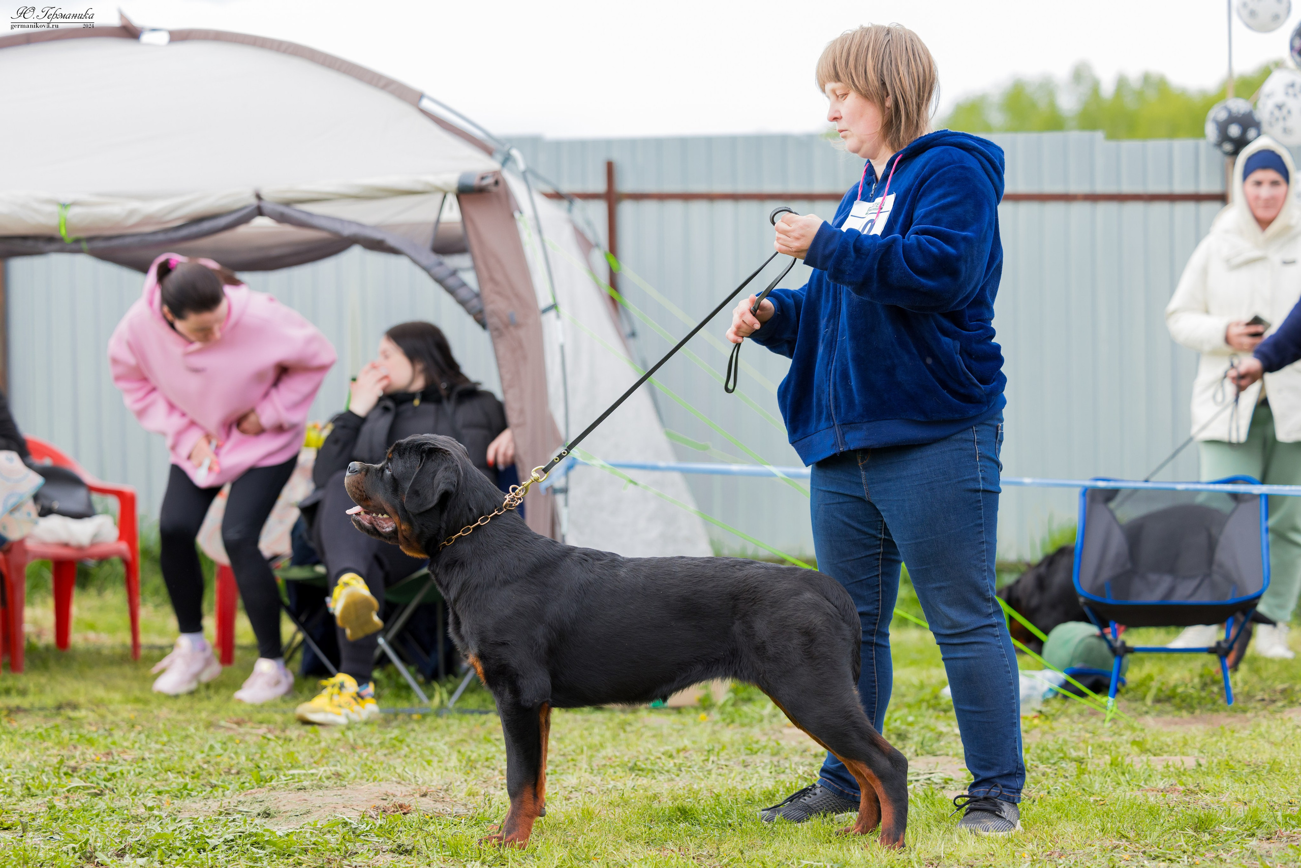 Нижний Новгород 11-12.05.2024 моно ротвейлеров. Фотограф-анималист Юлия Германика