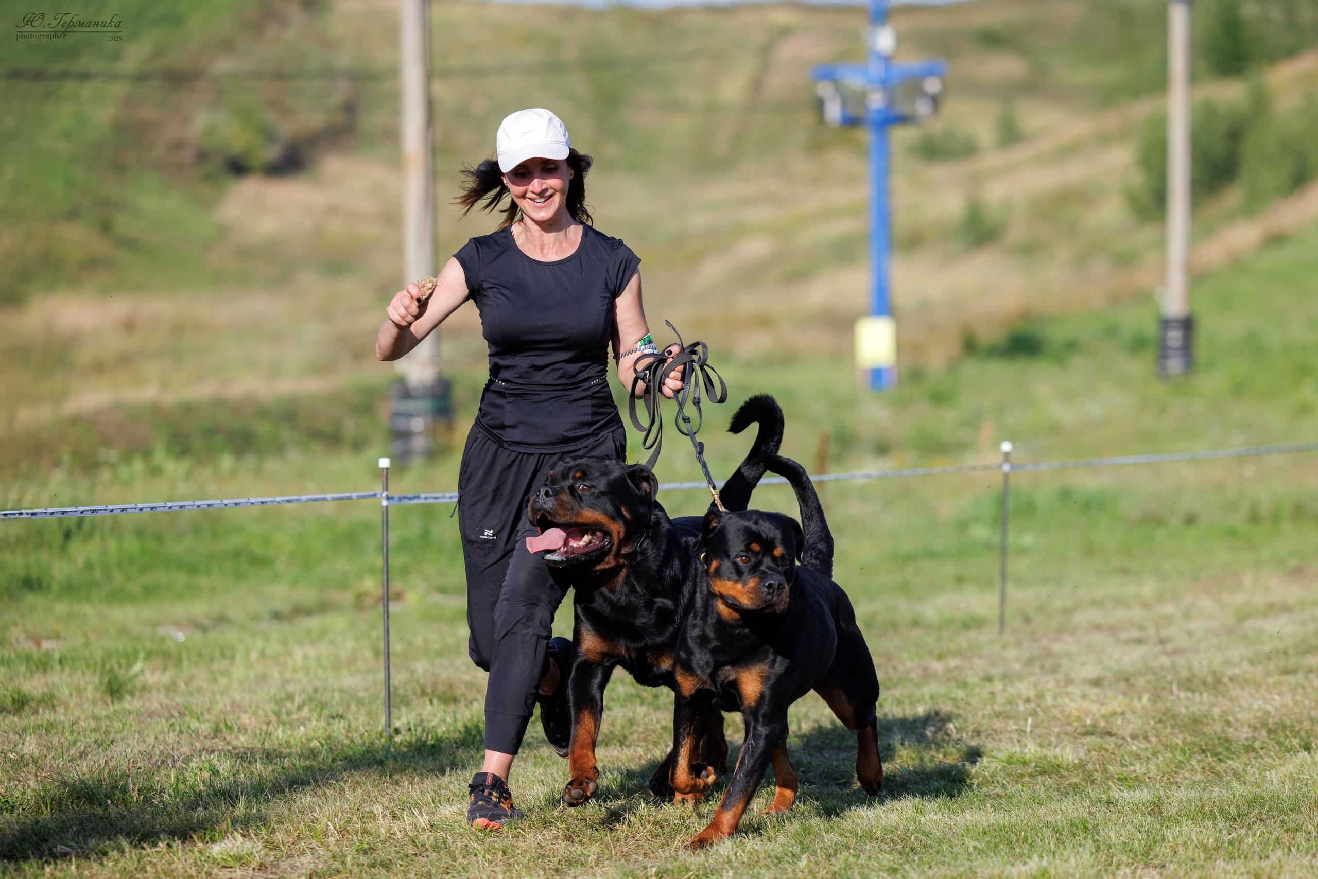 Рязань 2хмоно ротвейлеры 16-17.08.2025. Фотограф-анималист Юлия Германика