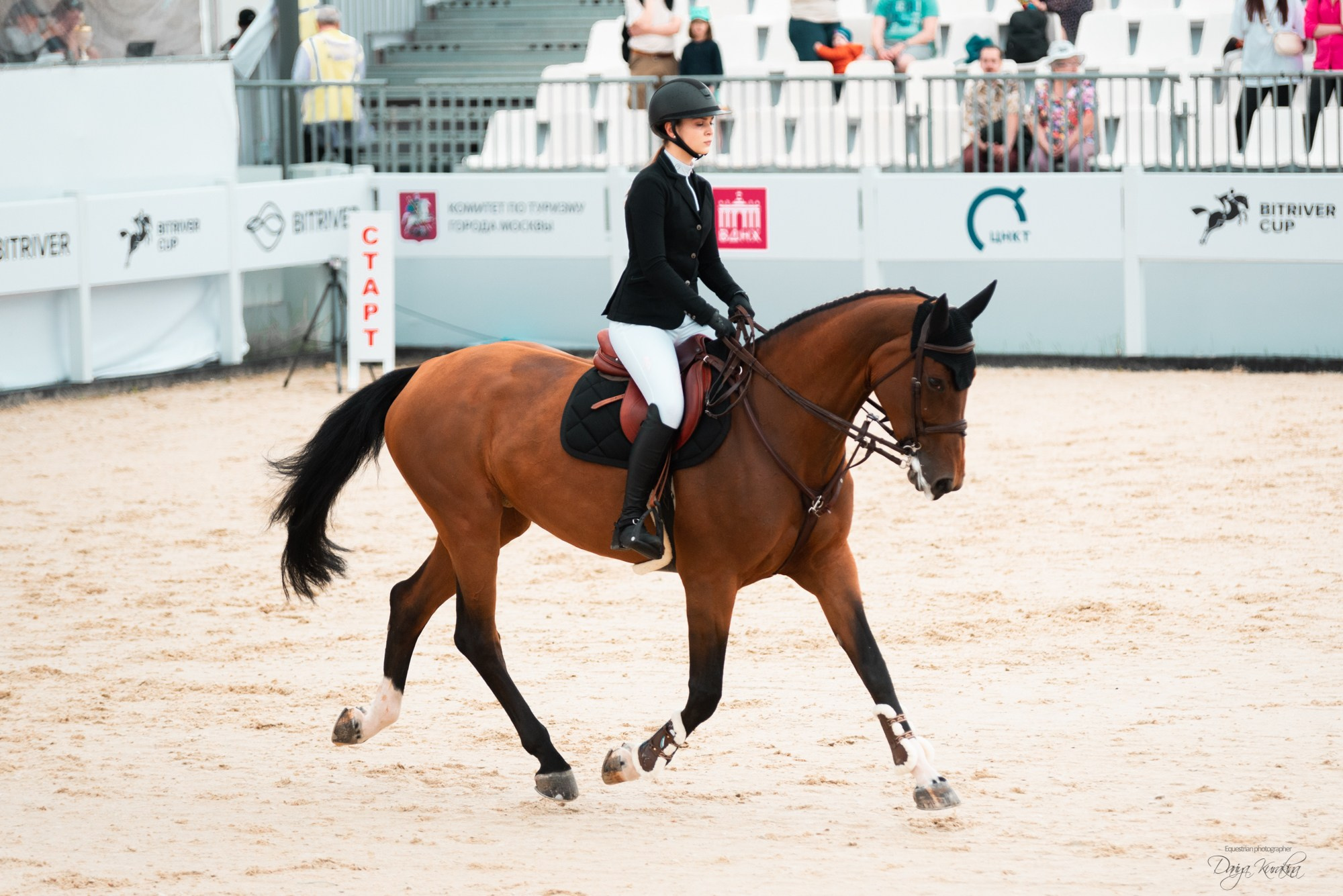 BITRIVER CUP 2023. Конный фотограф Куракина Дарья • Фотосессии с лошадьми
