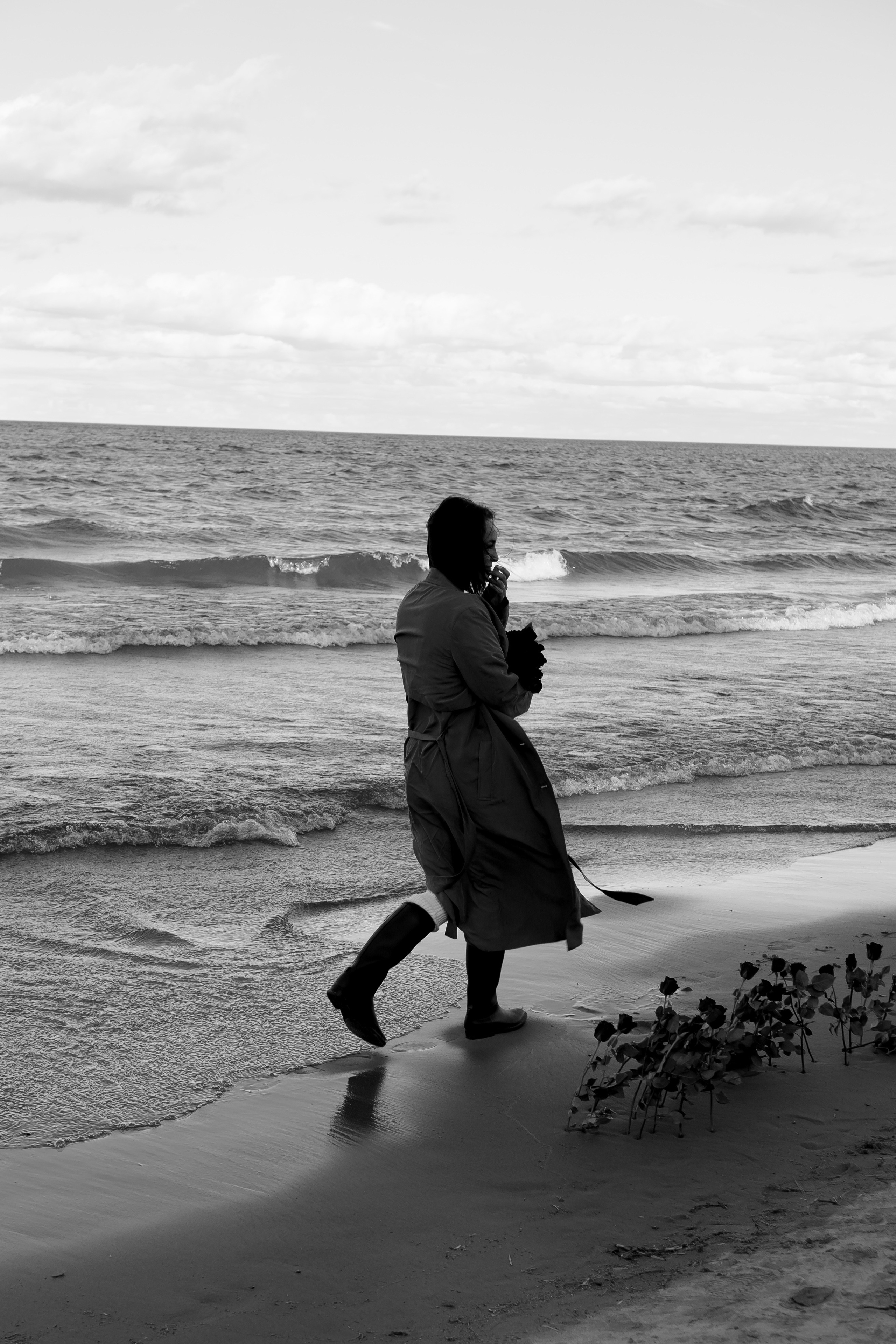 Розы. Профессиональный фотограф, Санкт-Петербург — Виктория Богомолова