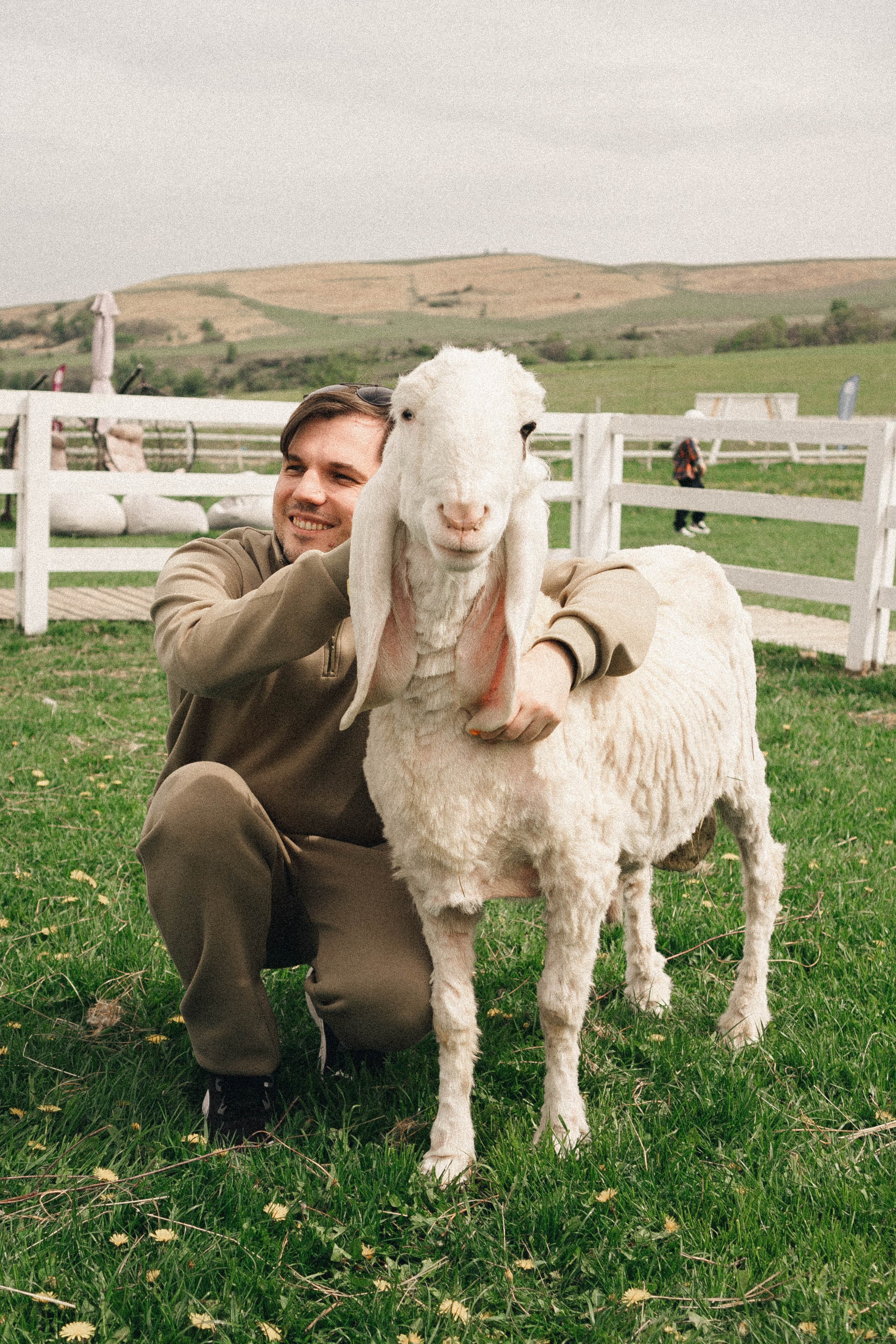 Ферма Альпак. Профессиональный фотограф, Санкт-Петербург — Виктория Богомолова