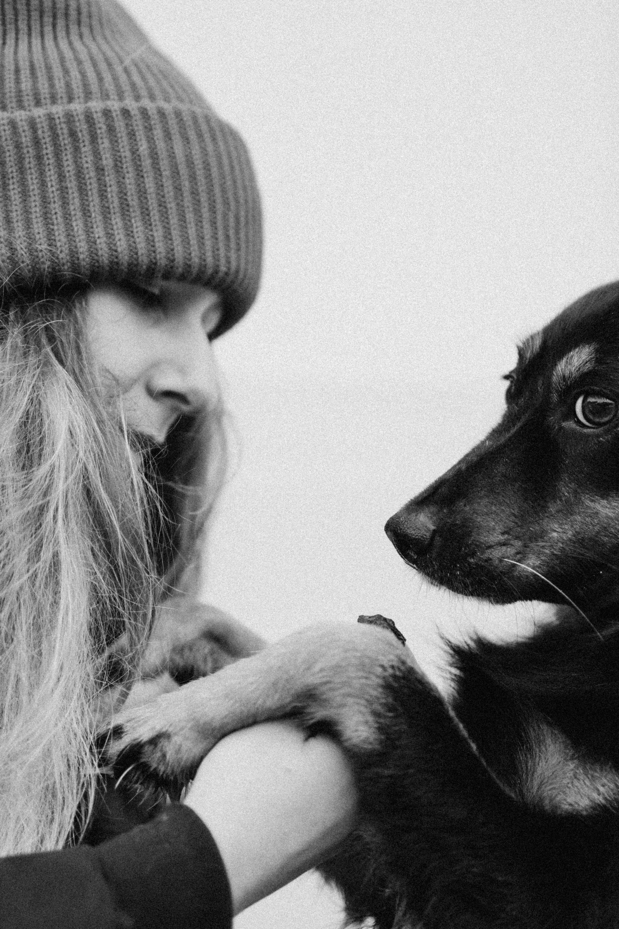 Саша, Ксюша и их банда. Фотораф — анималист Мария Шистка