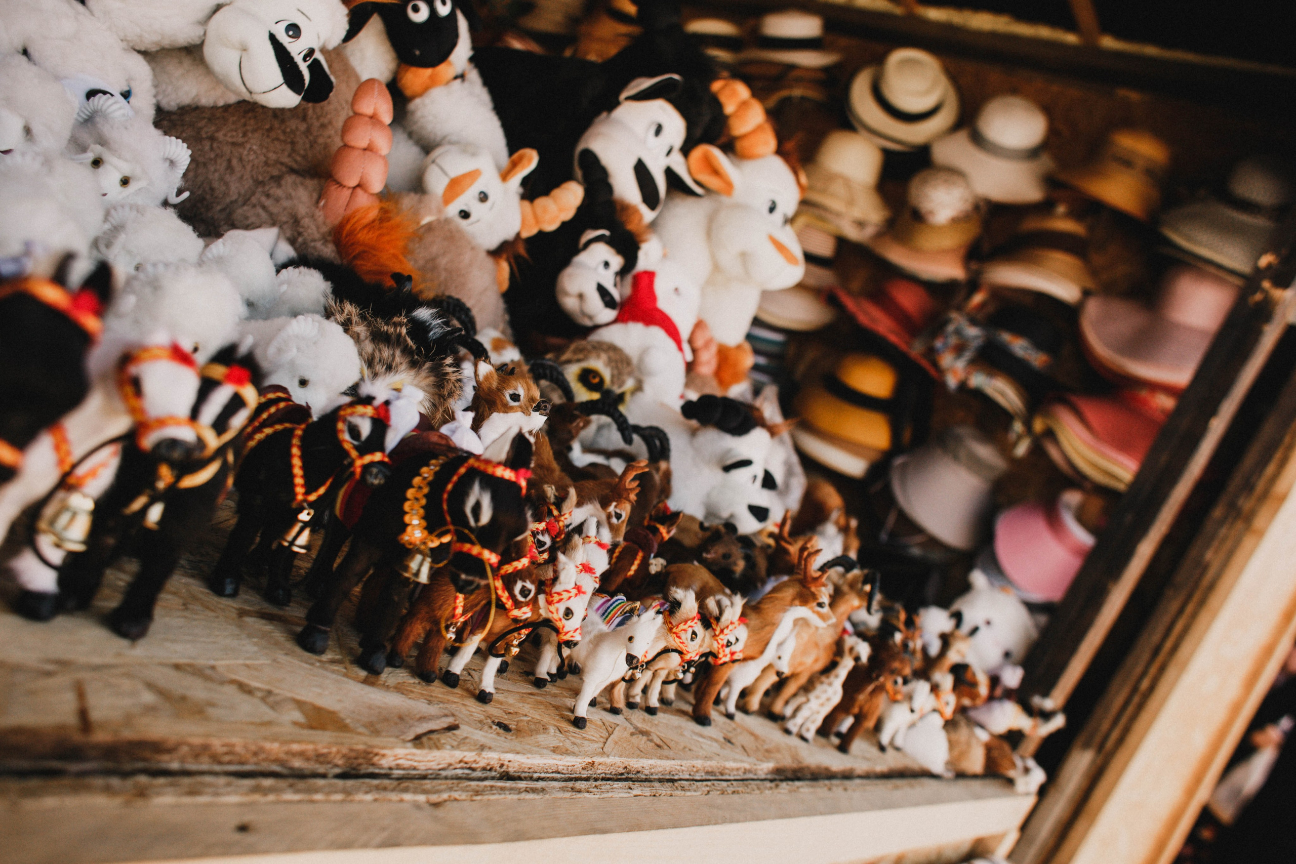 Дагестан. Чечня. 2024. Фотограф в Нижнем Новгороде