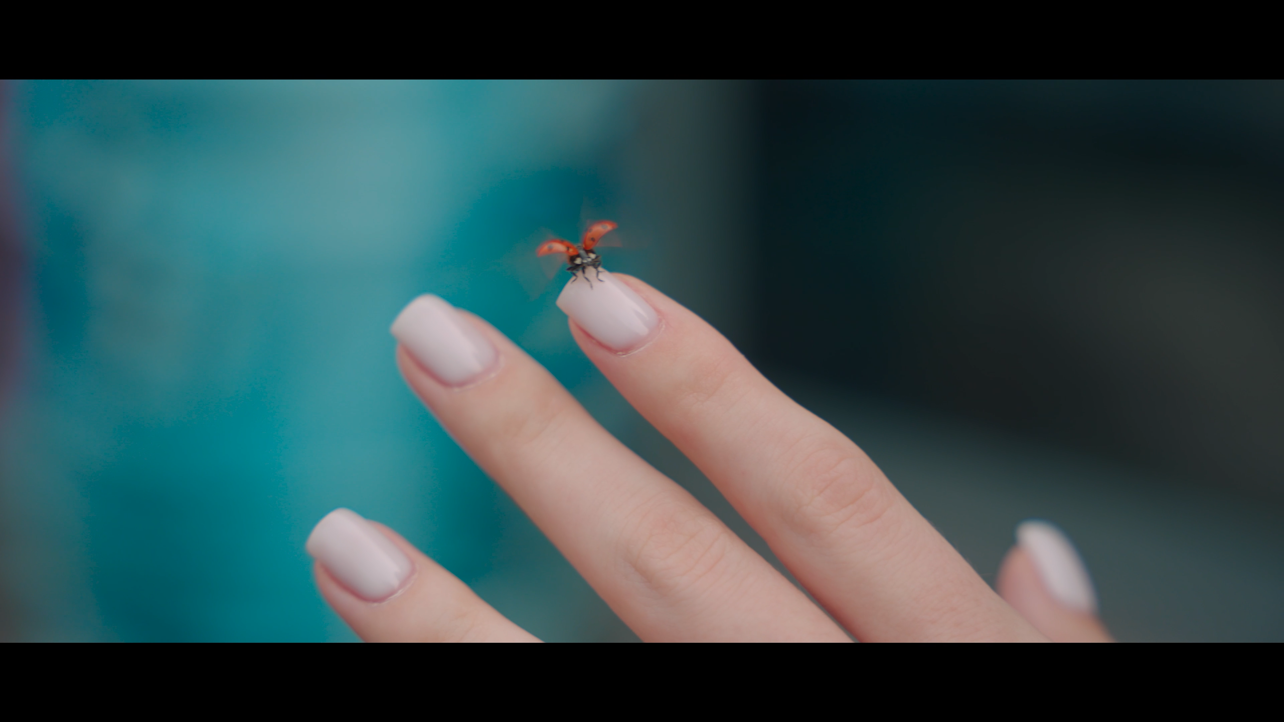 Стефан Студия